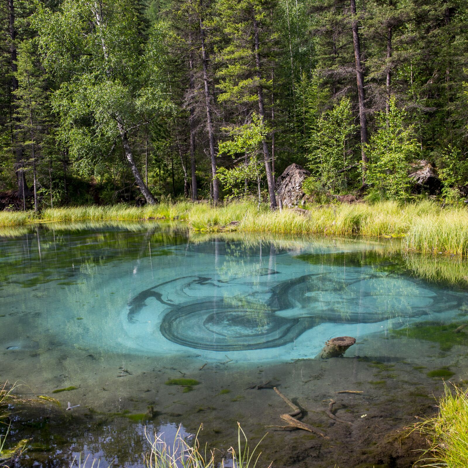 Nikon D610 sample photo. Lake, geyser, volcanic photography