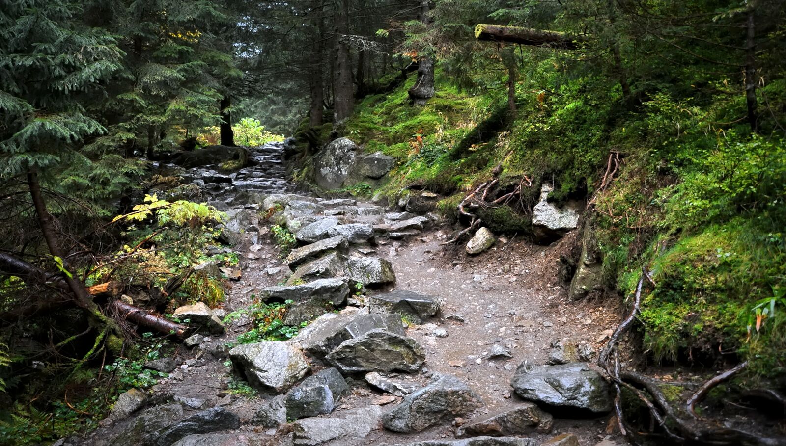 Nikon D90 sample photo. The path, tatry, mountains photography