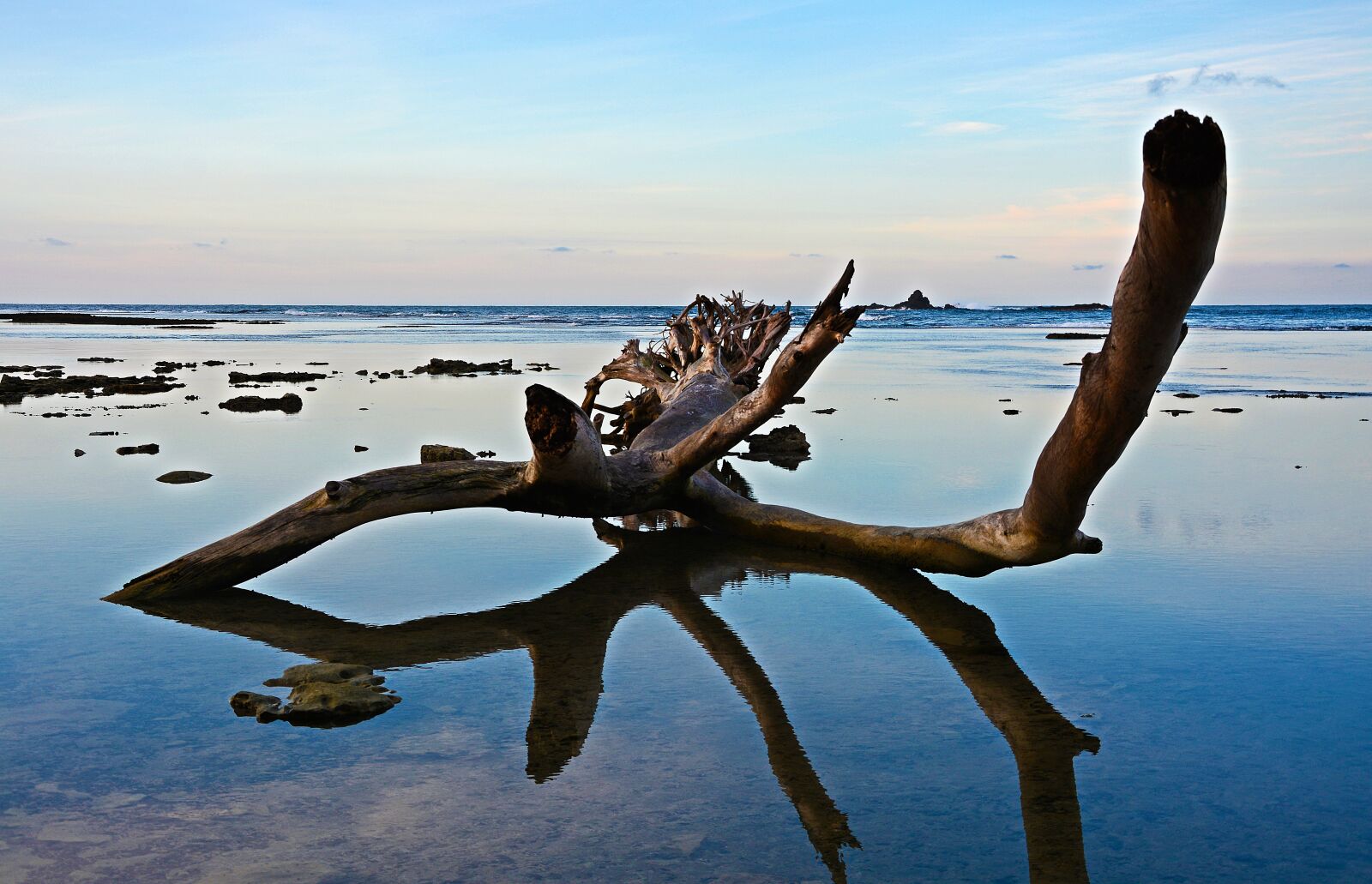 Nikon D7100 sample photo. Tree, fallen, beach photography