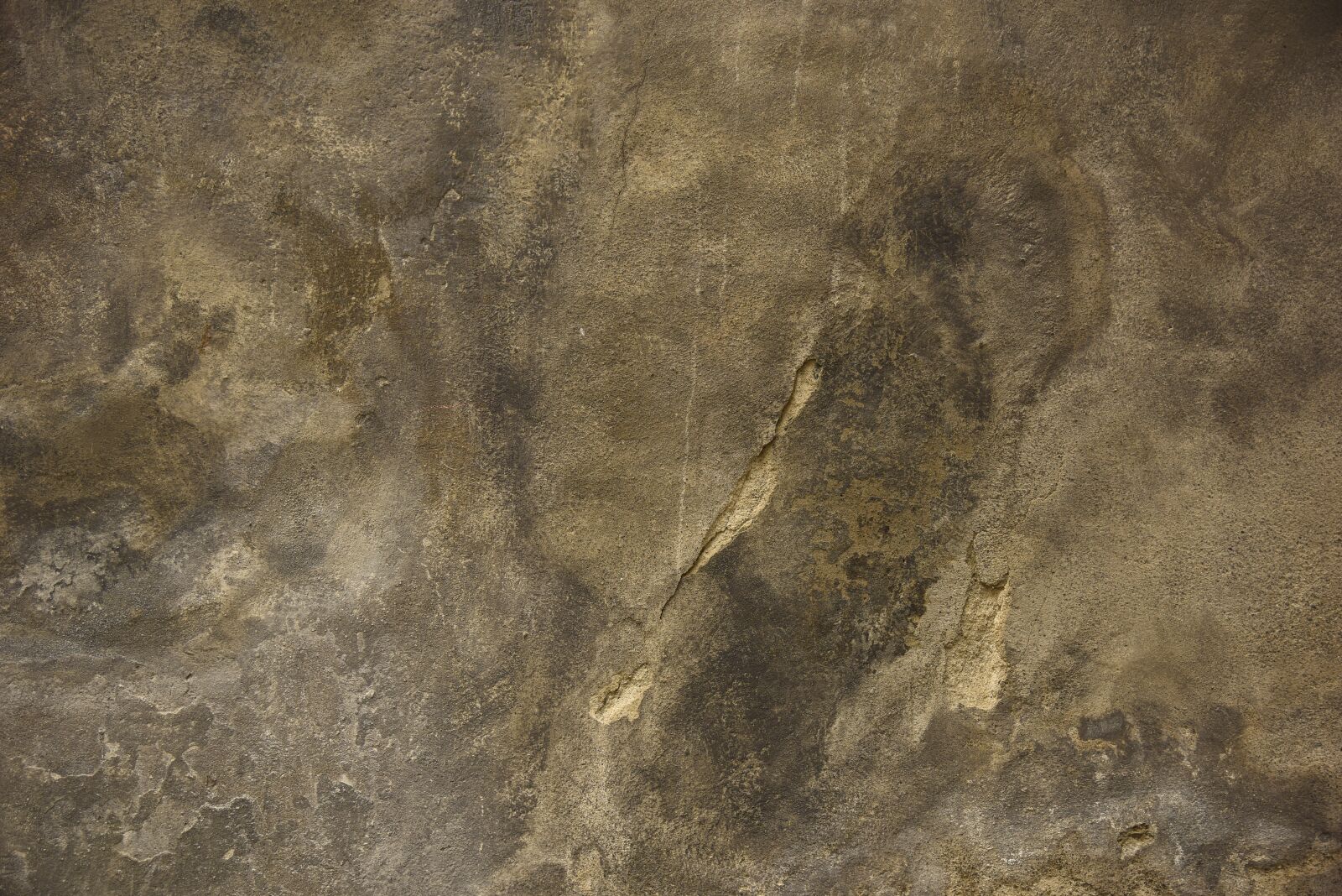 Nikon D810 sample photo. Texture, background, structure photography