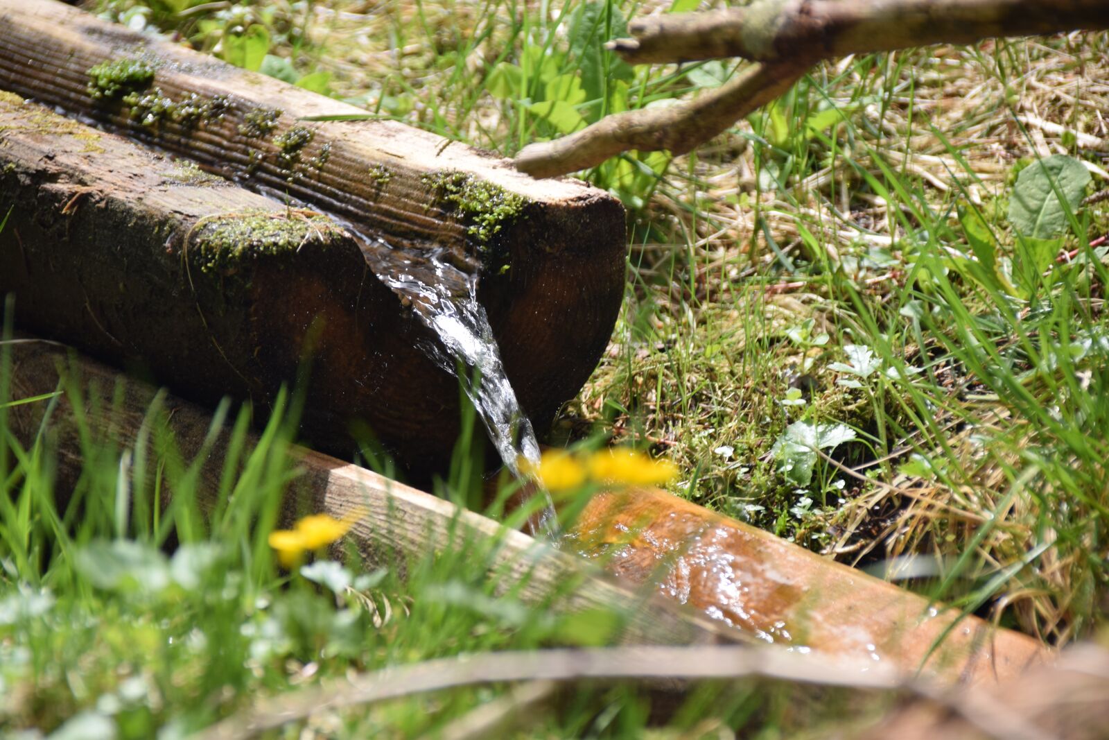 Nikon D5300 sample photo. Water, flow, nature photography