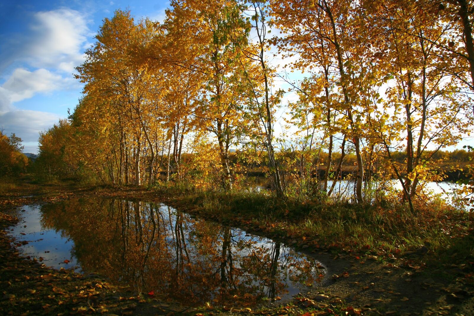 Canon EOS 5D sample photo. Autumn, forest, lake photography