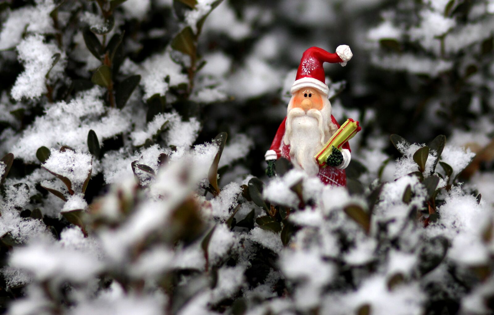 Canon EOS 700D (EOS Rebel T5i / EOS Kiss X7i) + Canon EF 85mm F1.8 USM sample photo. Decoration, winter, christmas photography