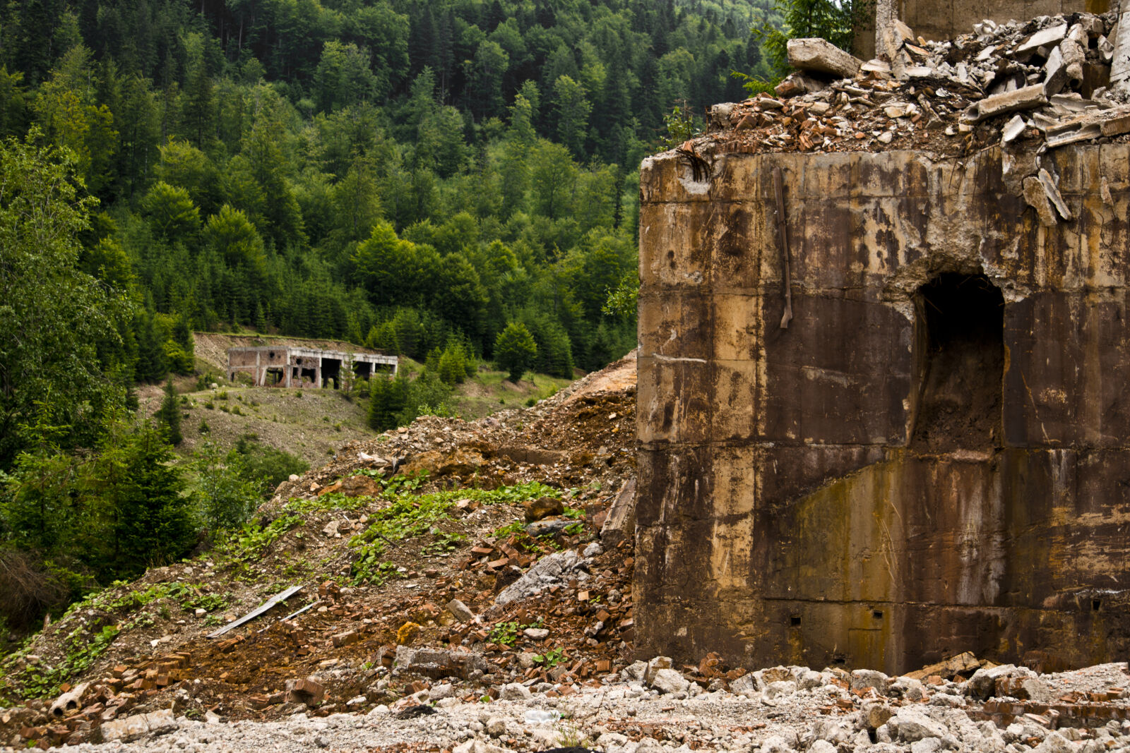 Nikon D3100 sample photo. Destroyed, ecological, disaster, ecology photography