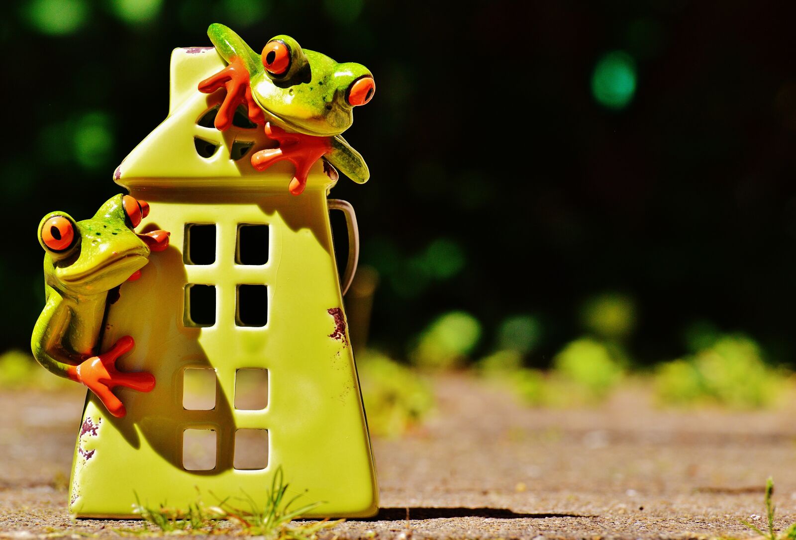 Nikon D3200 sample photo. Frogs, house, funny photography