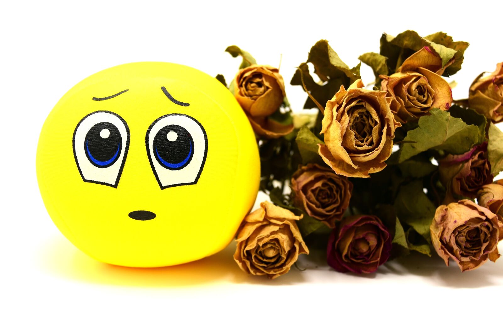 Nikon D7200 sample photo. Smiley, sad, roses photography