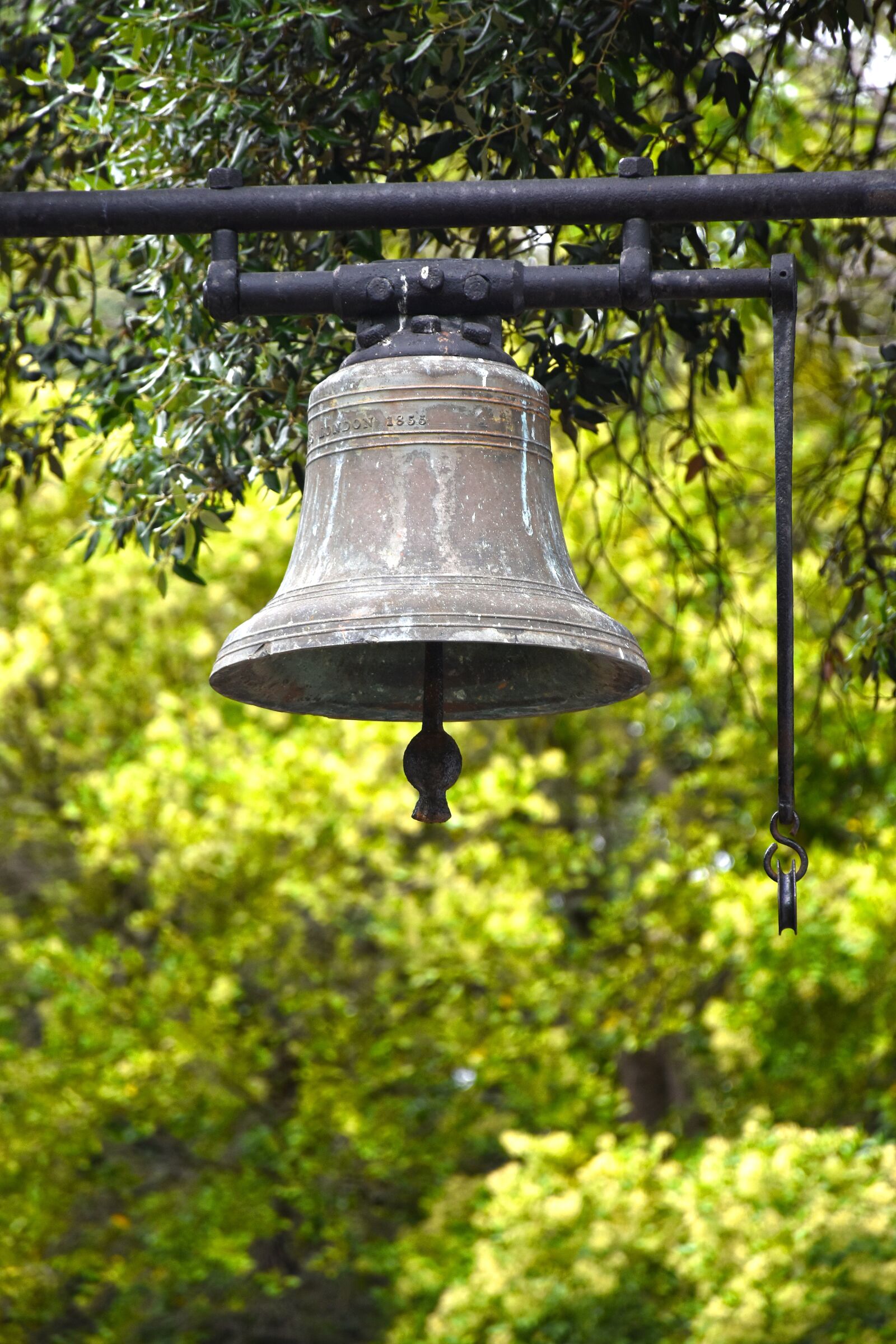 Nikon D5600 sample photo. Bell, africa, cape town photography