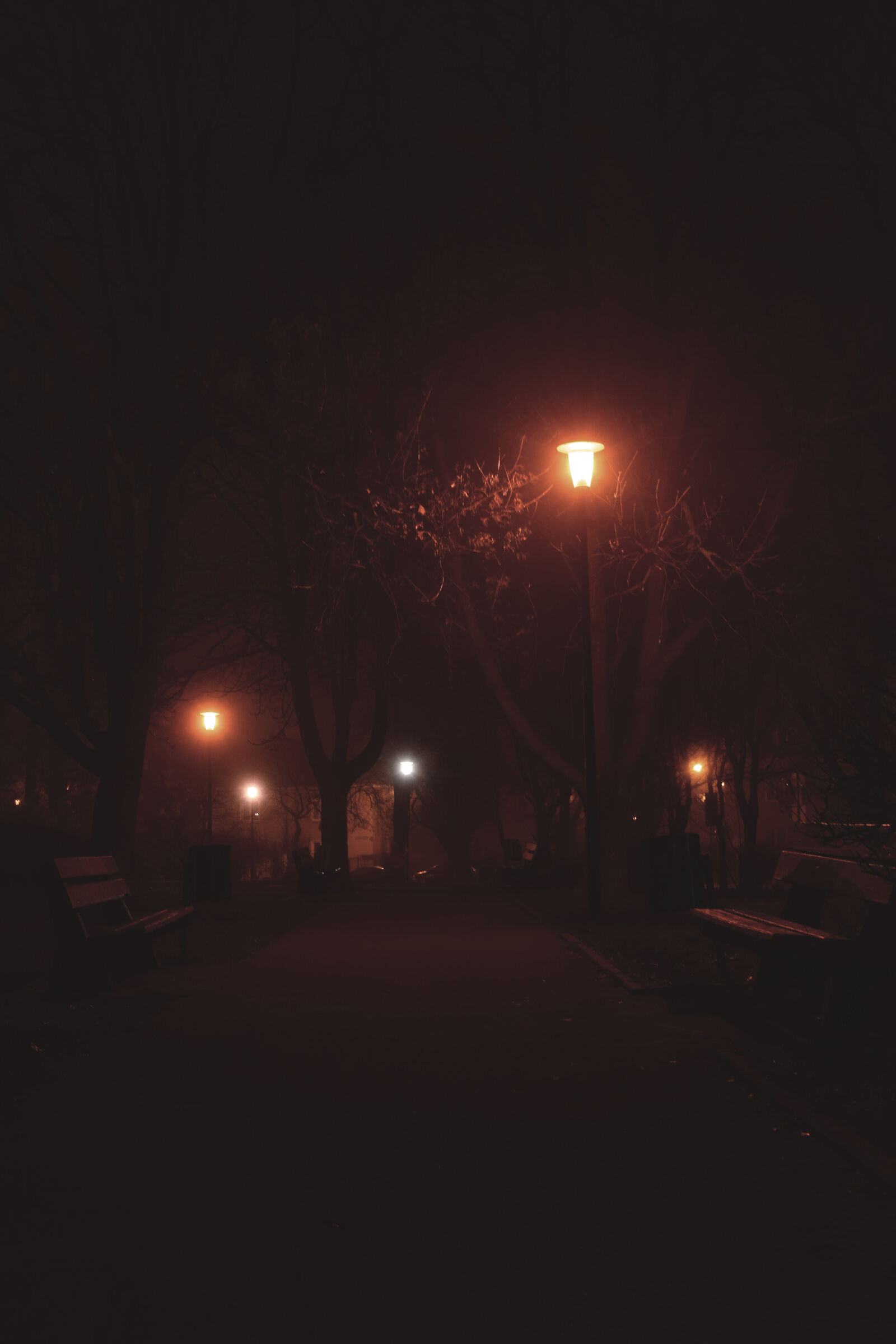 Nikon D3300 sample photo. Fog, night, theme, light photography