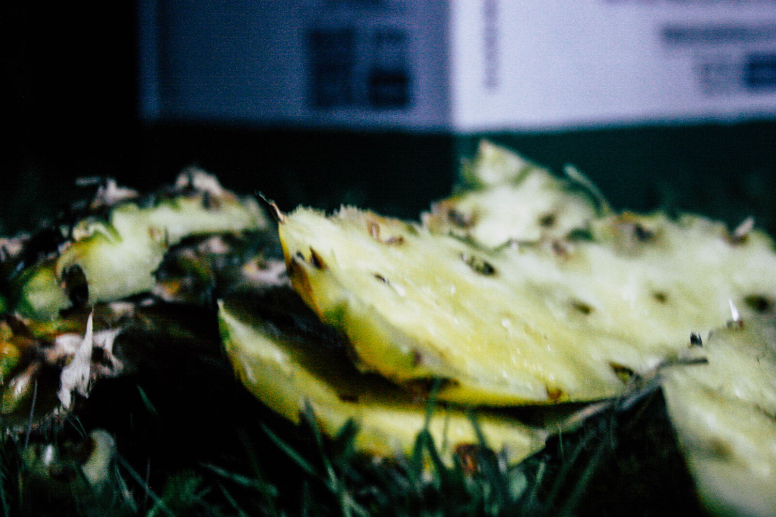 Canon EOS 20D sample photo. Compost, cut, food, scraps photography