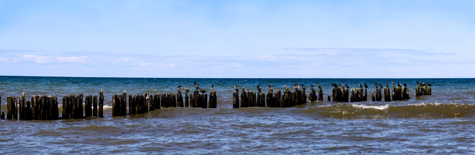 Canon EOS 1000D (EOS Digital Rebel XS / EOS Kiss F) sample photo. Groynes, coastal protection, baltic photography