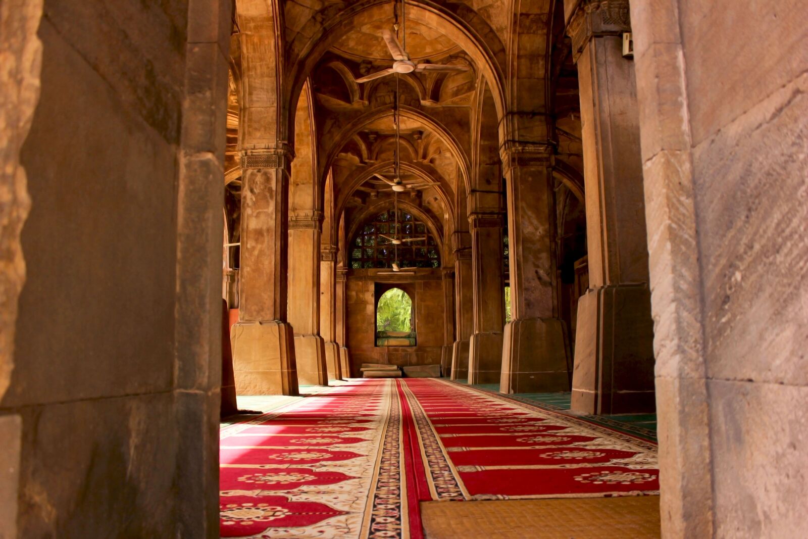 Canon EOS 600D (Rebel EOS T3i / EOS Kiss X5) sample photo. Sidi saiyyed mosque, ahmedabad photography