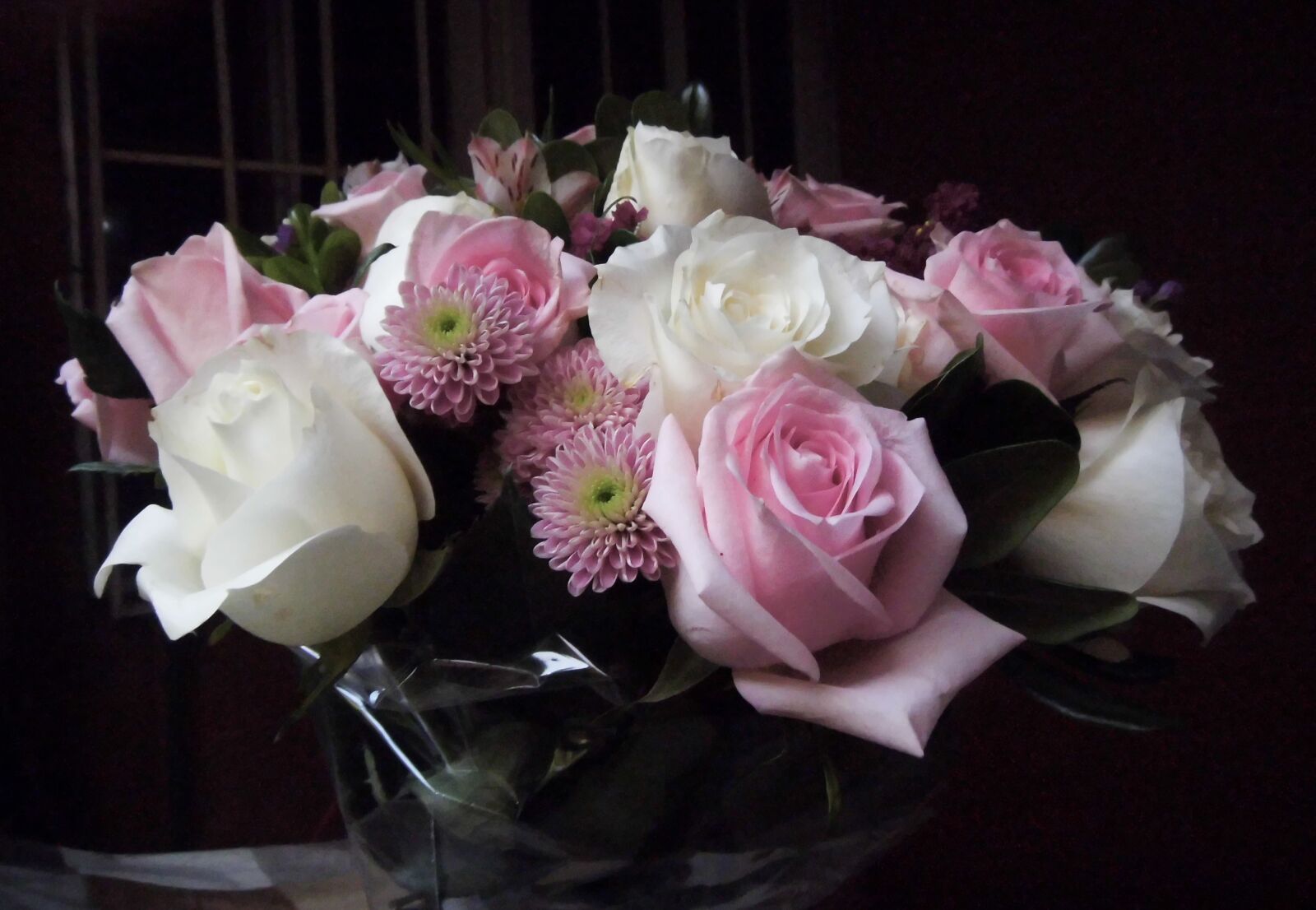 Fujifilm FinePix Z110 sample photo