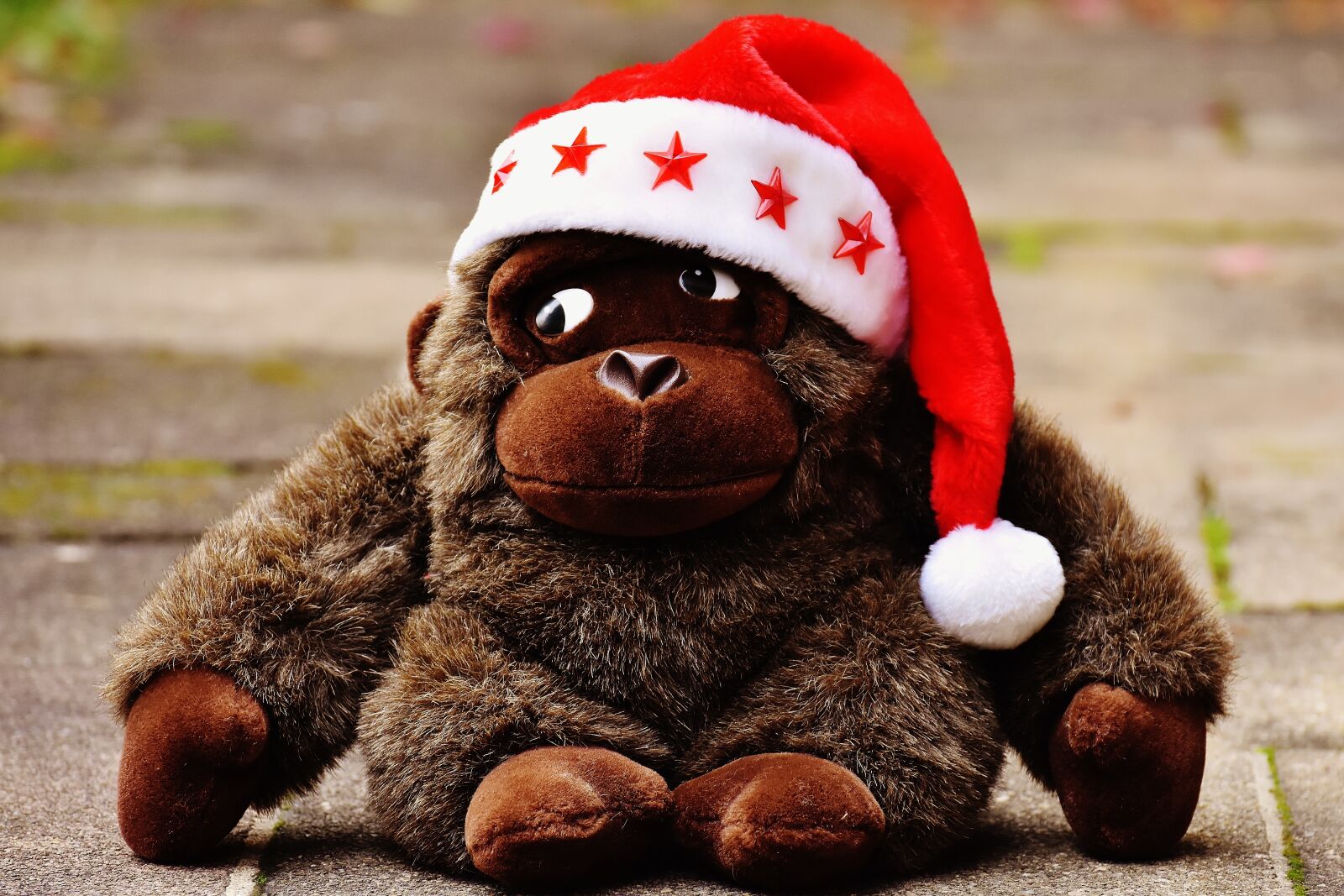 Nikon D7200 sample photo. Christmas, santa hat, stuffed photography