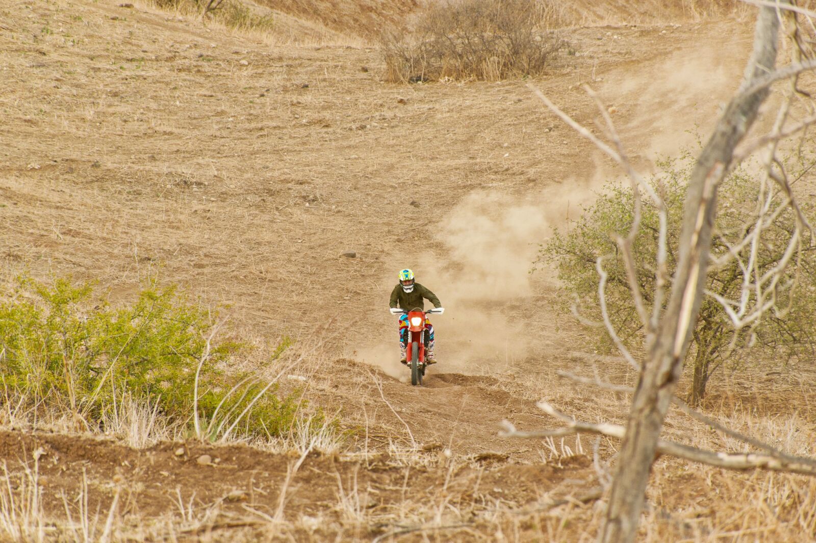 Nikon D5300 sample photo. Motocross, forest, man photography