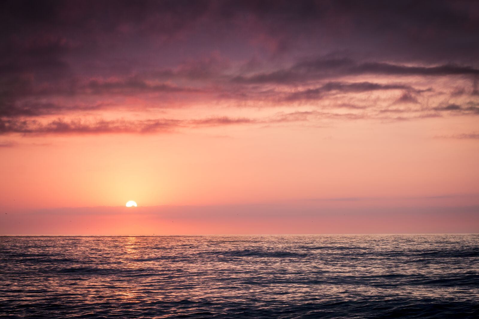 Canon EOS 70D + Canon EF 50mm F1.4 USM sample photo. Nature, water, sunrise, sunset photography