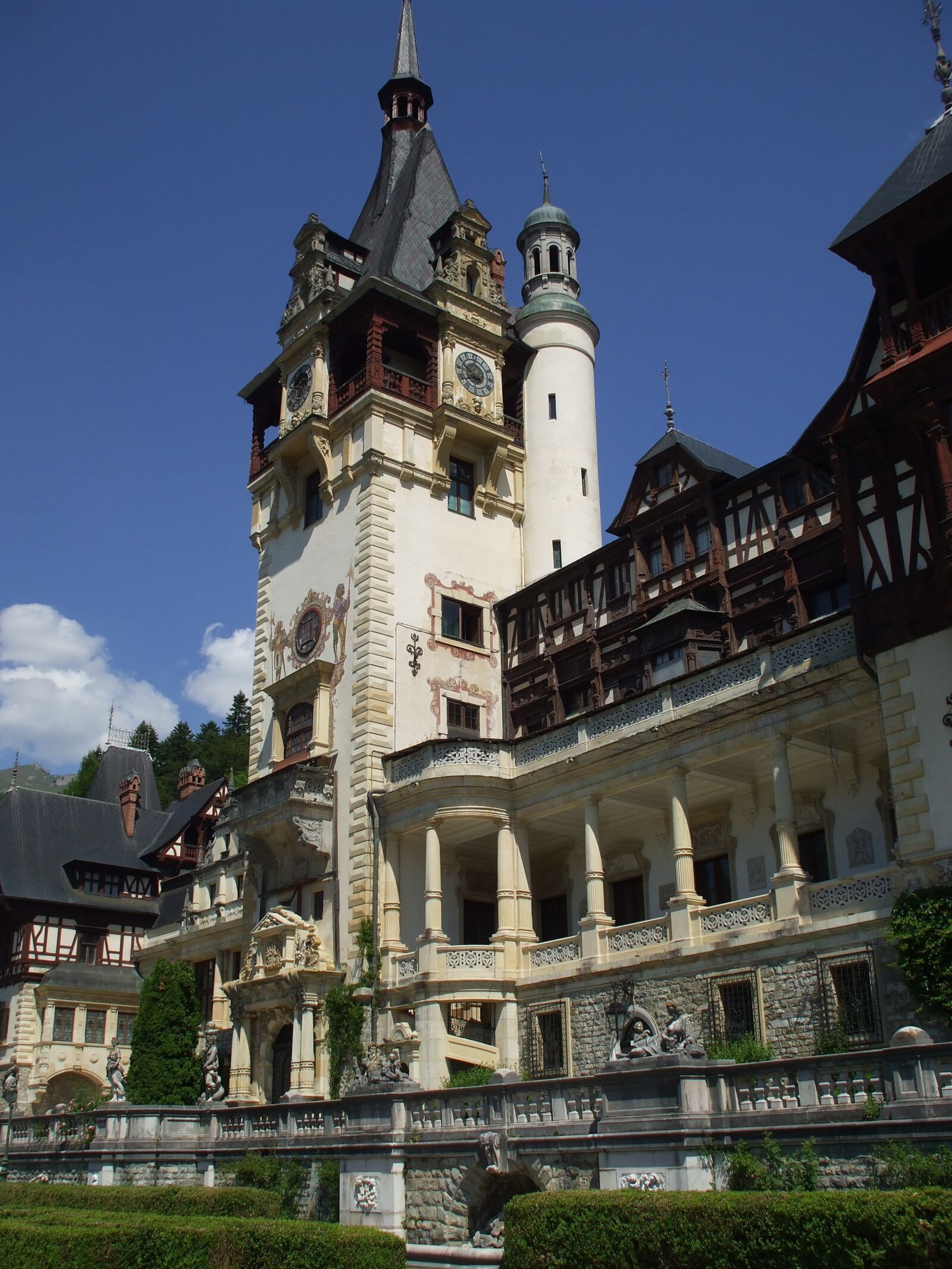 Fujifilm FinePix A800 sample photo. Peles, palace, castle photography