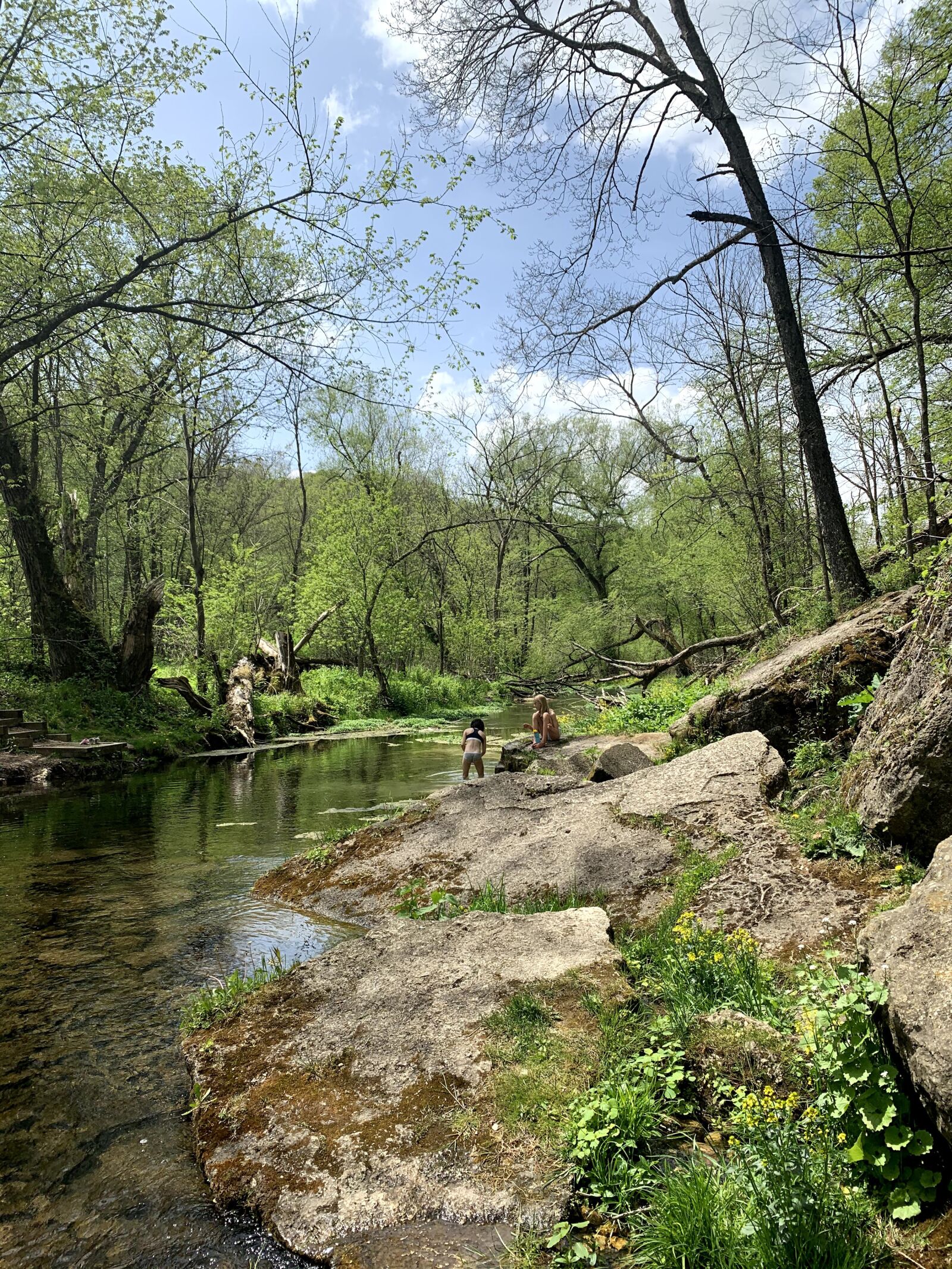 Apple iPhone XR sample photo. Forest, streams, moss photography