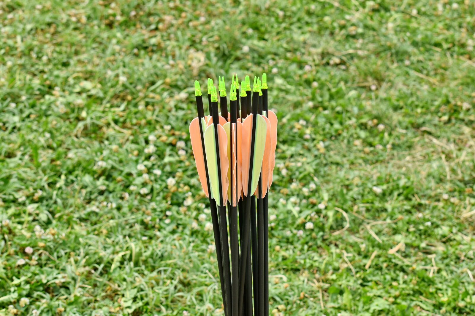 Nikon D5500 sample photo. Archery, arrow, arrowhead, detail photography