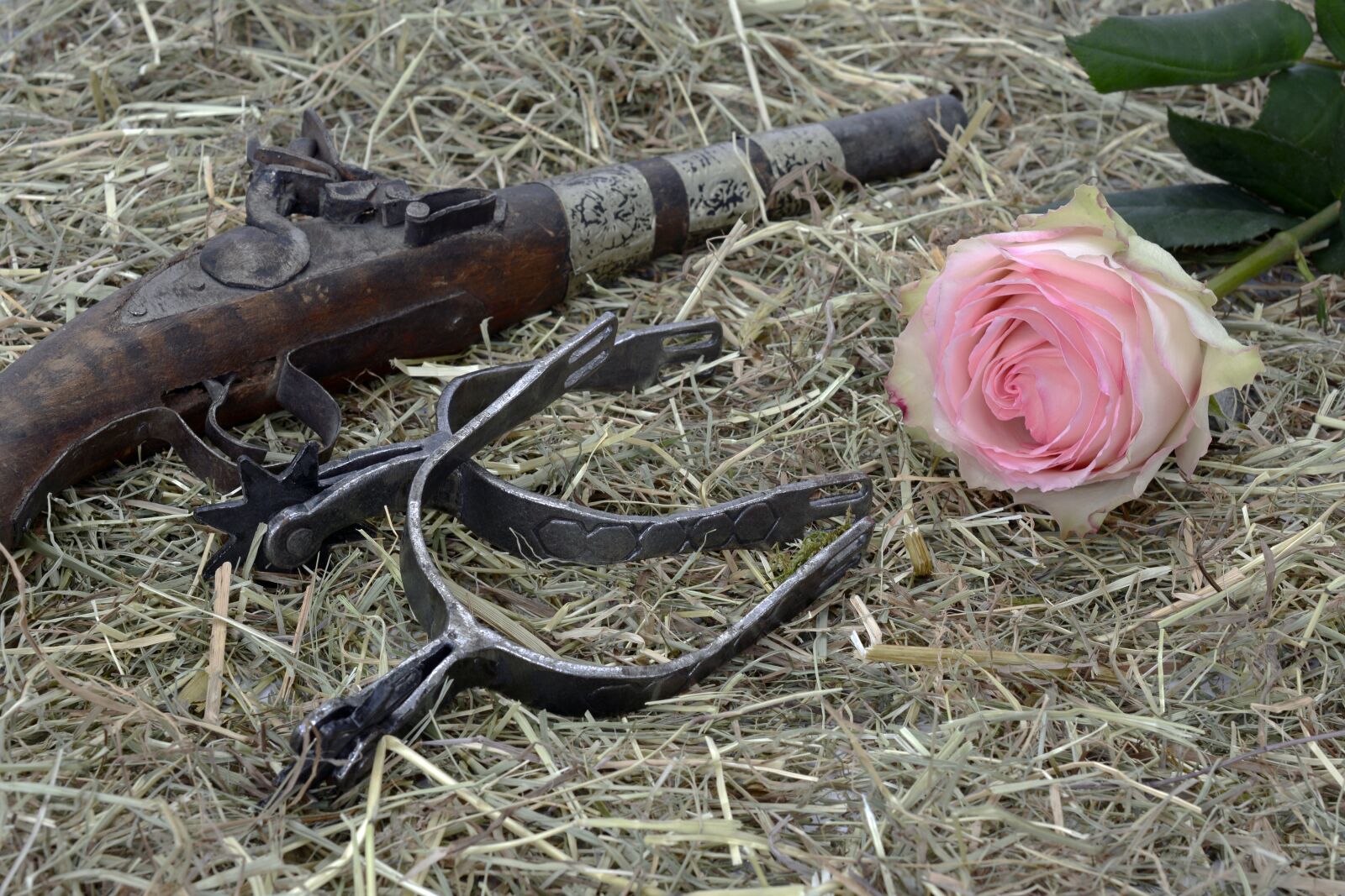 Nikon D7100 sample photo. Pistol, spores, hay photography