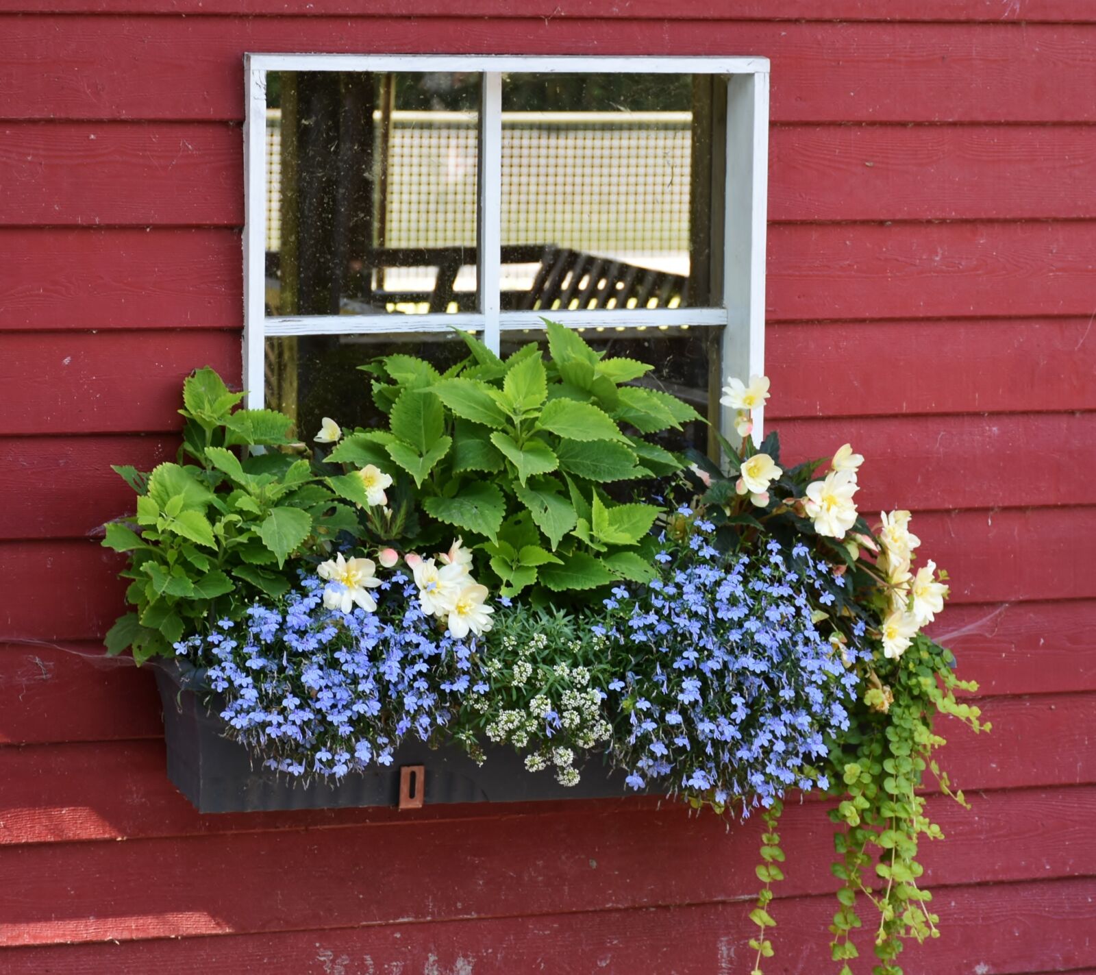 Nikon D7200 sample photo. Window, flowers, floral decorations photography