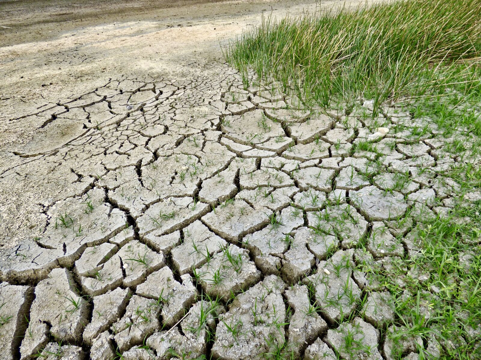 Panasonic Lumix DMC-FZ70 sample photo. Climate change, drought, climate photography