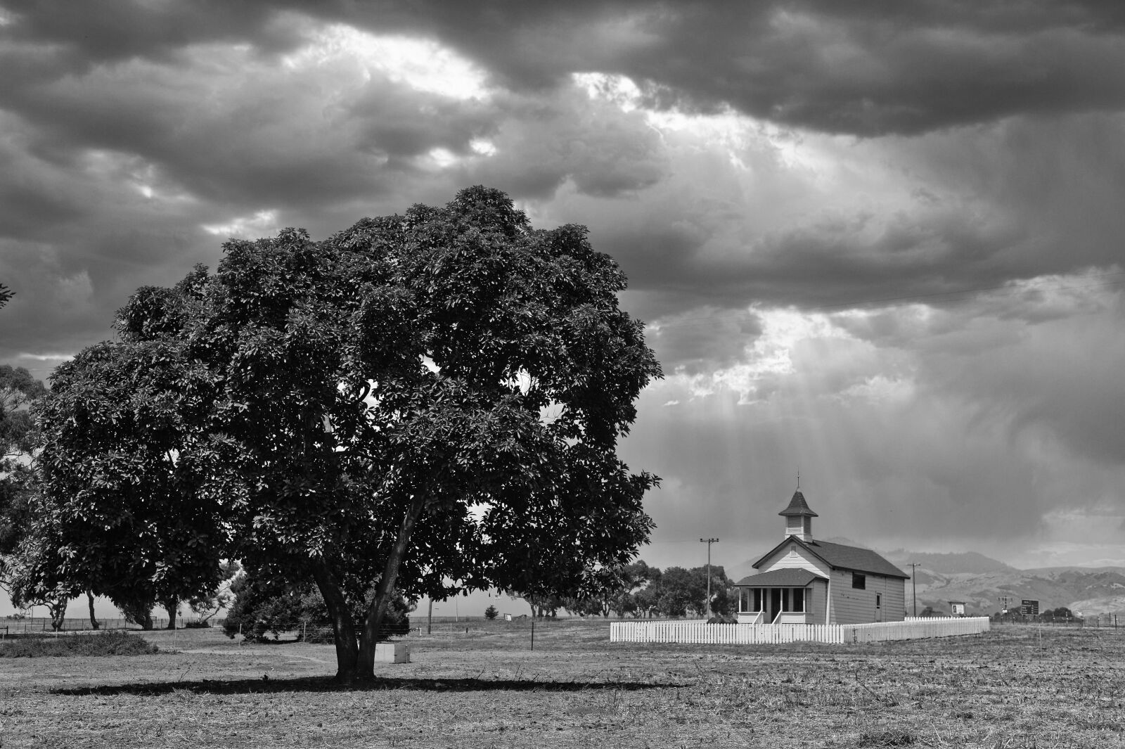 Nikon Df sample photo. Albero, campagna, casa photography