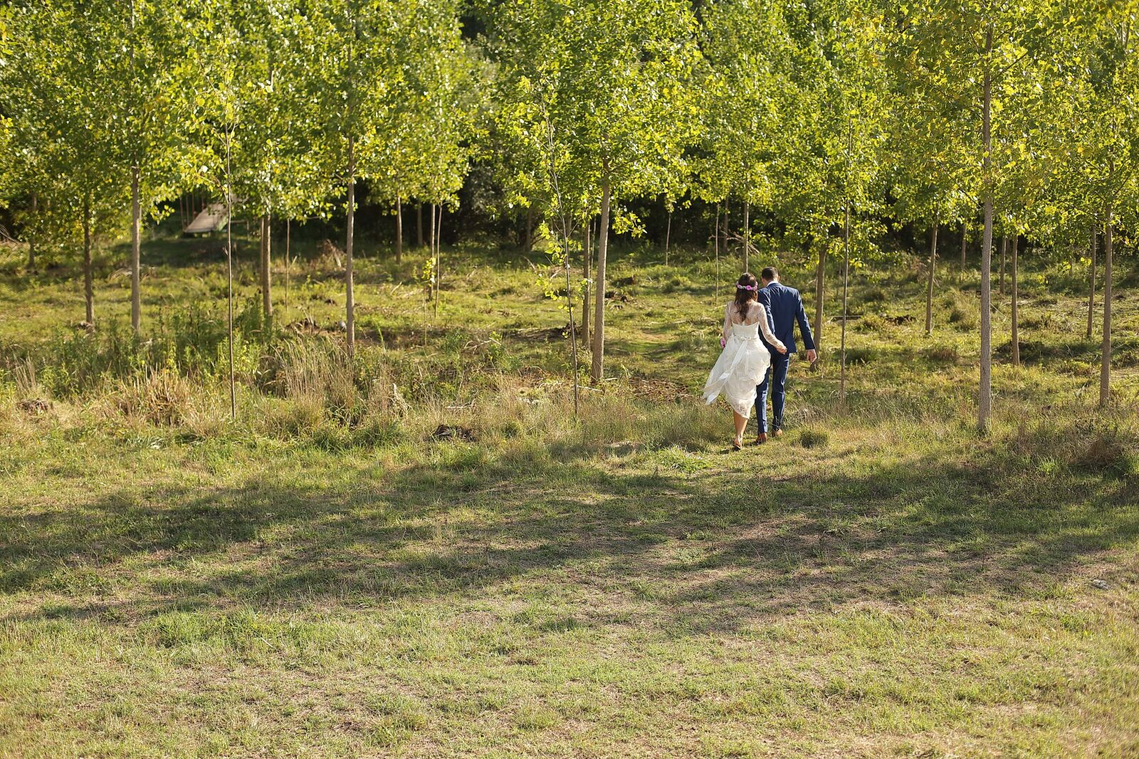 Canon EF 50mm F1.4 USM sample photo. Groom, bride, forest, hike photography