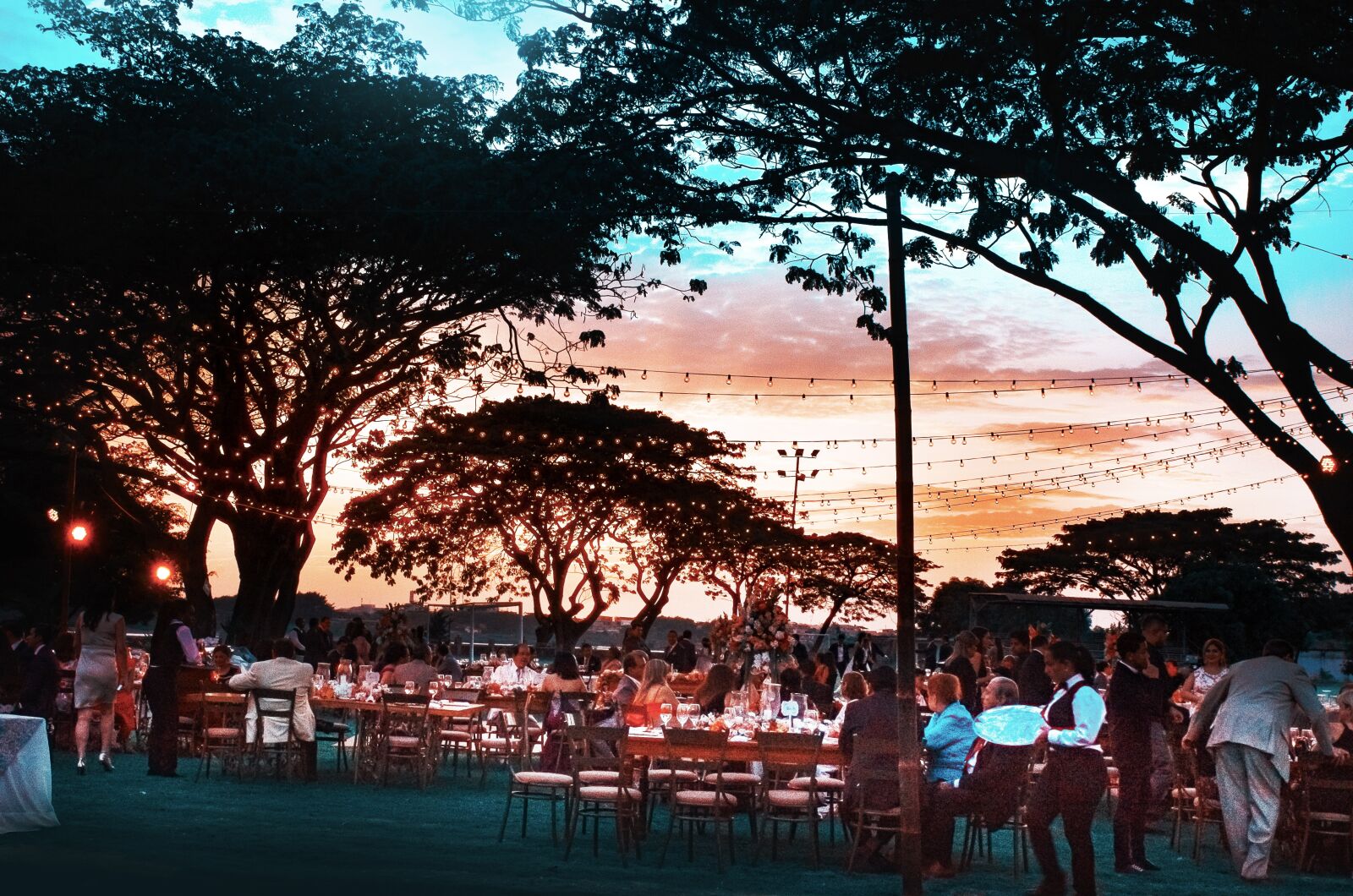 Nikon D5100 sample photo. Sunset, wedding, photography photography