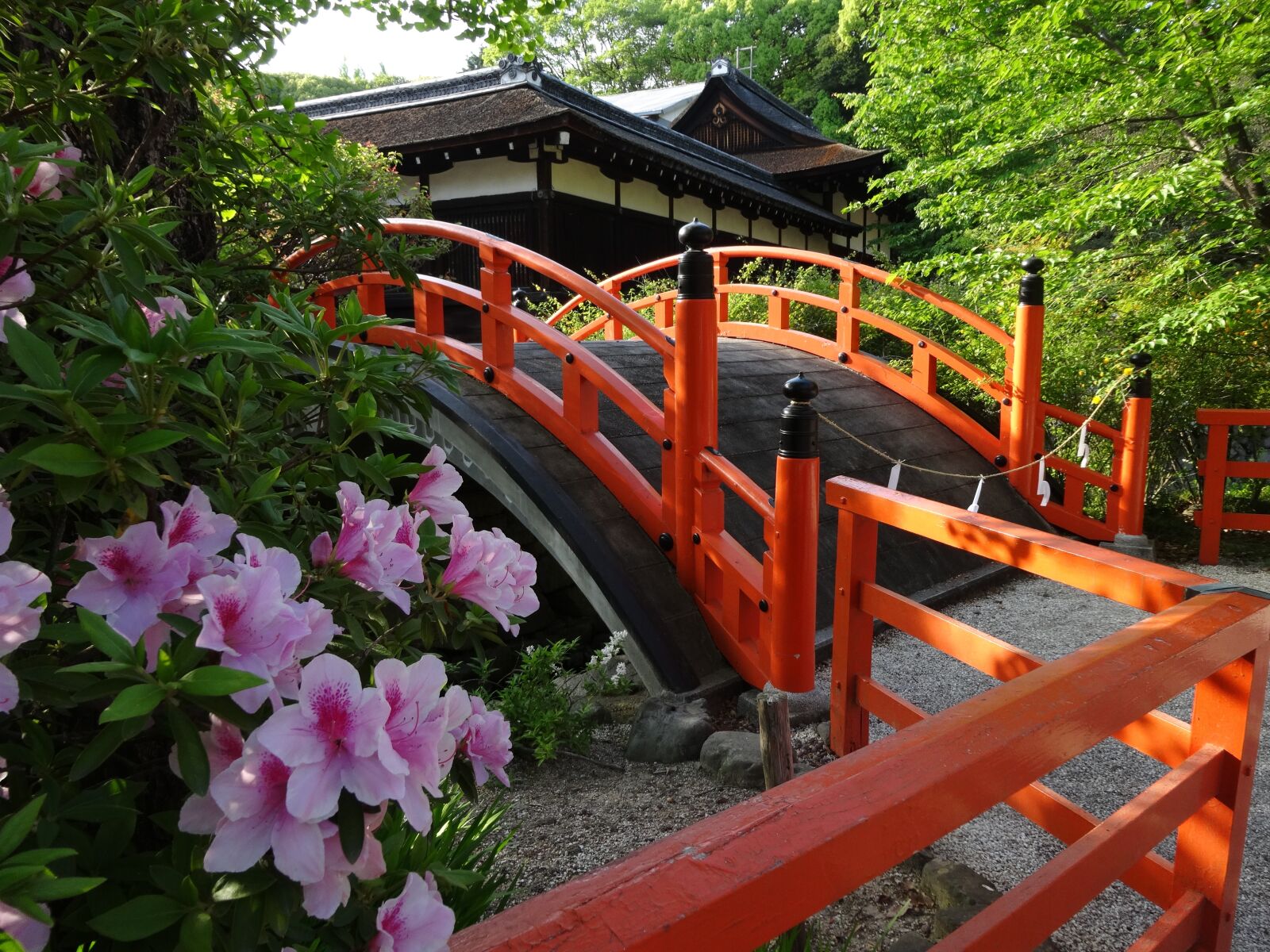 Sony Cyber-shot DSC-WX300 sample photo. Shimogamo shrine, bridge, flowers photography