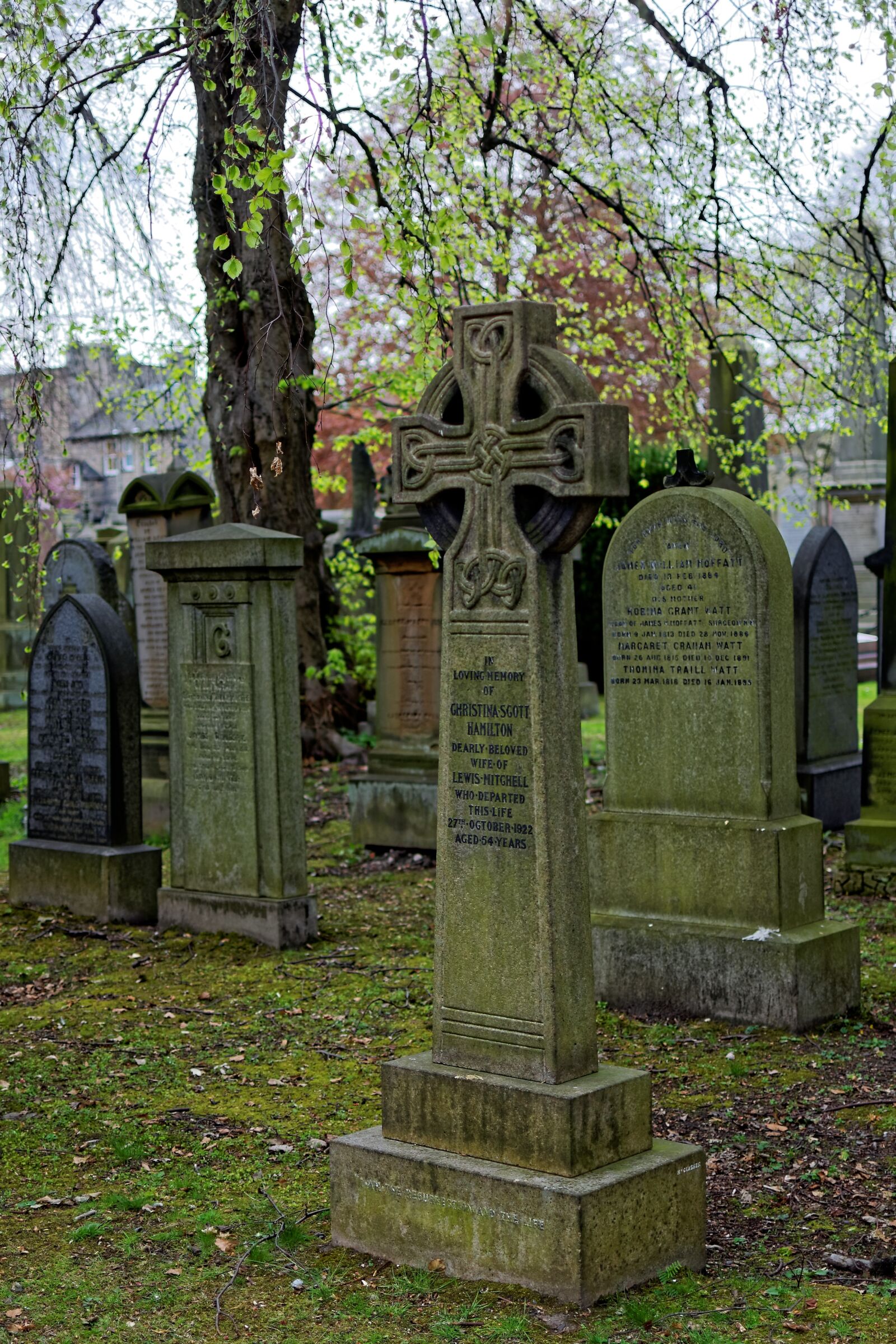 Nikon D90 sample photo. Dean's, garden, cemetery photography