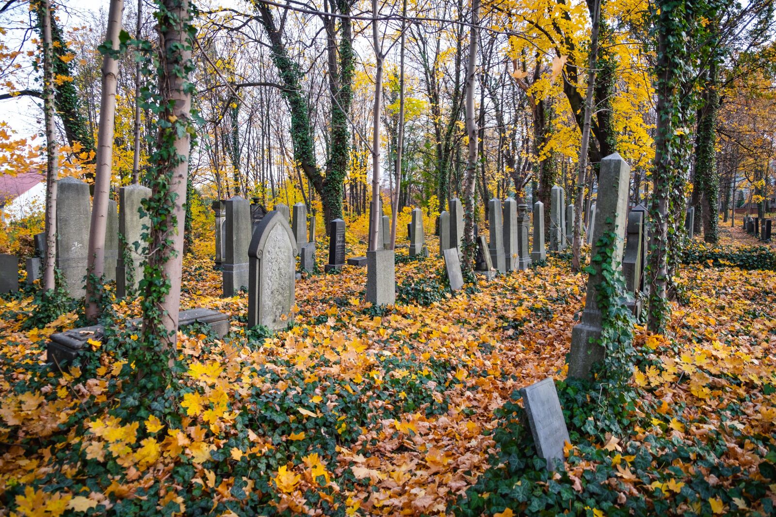Fujifilm X-Pro2 sample photo. Cemetery, graves, the tomb photography