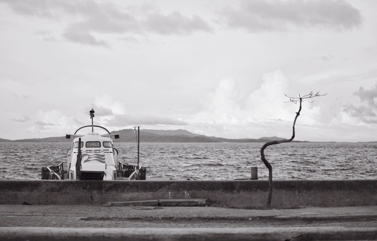 Nikon D5300 sample photo. Boat, boulevard, dead, tree photography