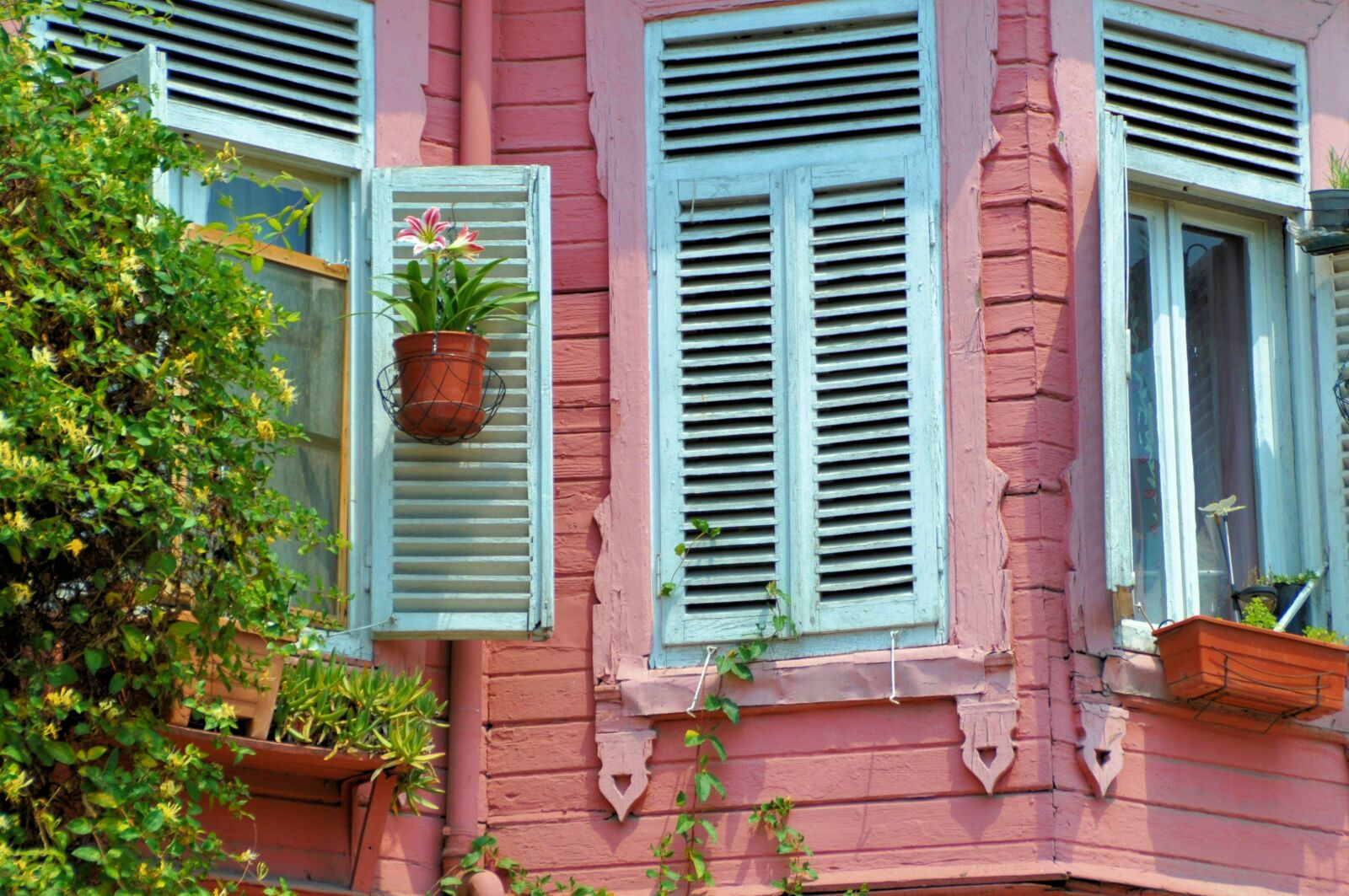 Nikon D5000 sample photo. Window, pink, house photography