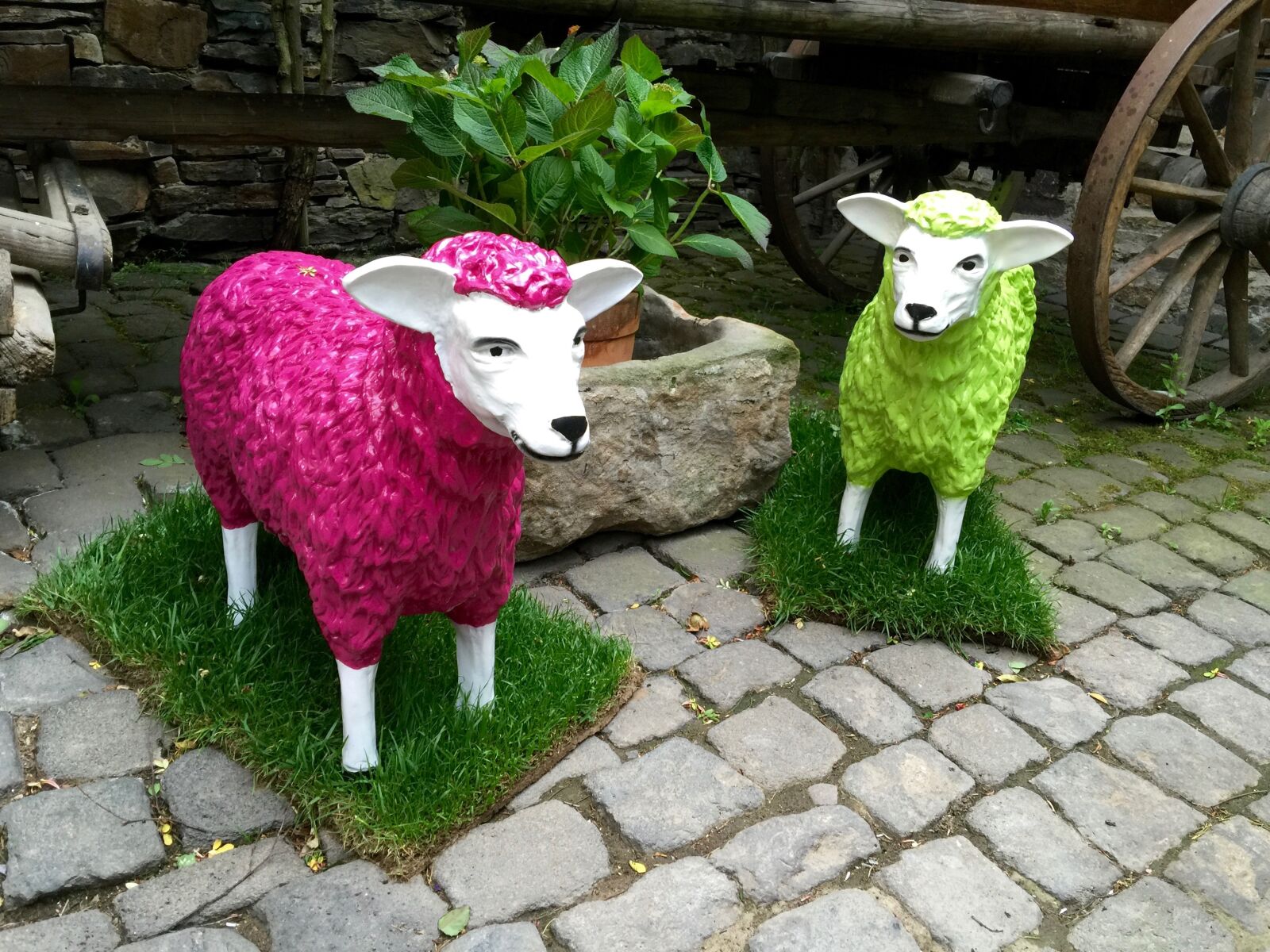 iPhone 6 Plus back camera 4.15mm f/2.2 sample photo. Art, sheep, arts crafts photography