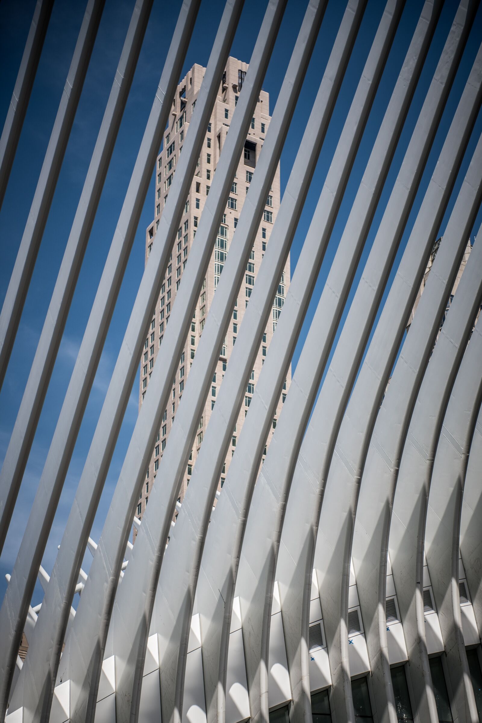 Nikon D750 sample photo. Usa, new york, manhattan photography