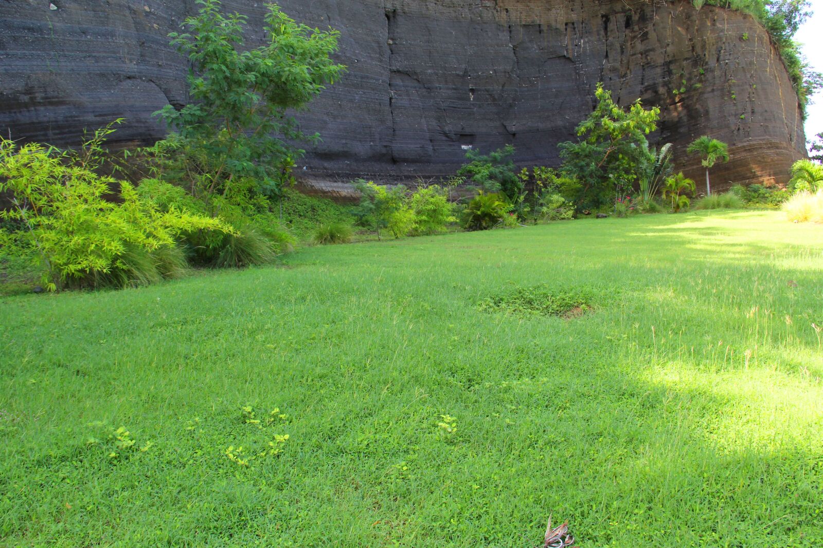 Canon EF-S 18-135mm F3.5-5.6 IS sample photo. Plant, grass, rock photography