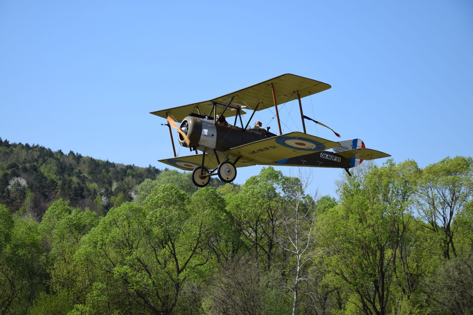 Nikon D5300 sample photo. The first world war photography