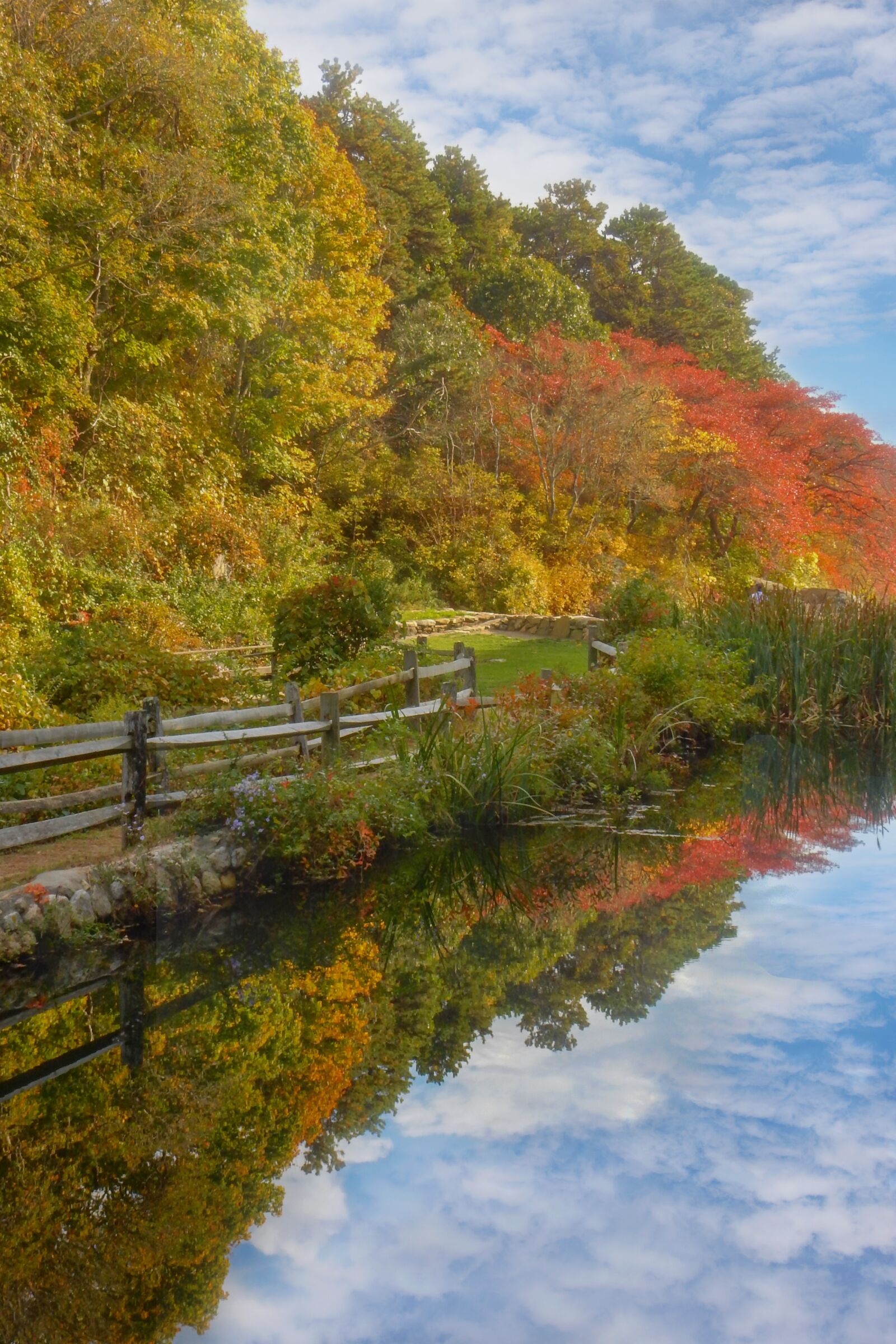 Nikon Coolpix S9900 sample photo. Landscape, autumn, fall photography