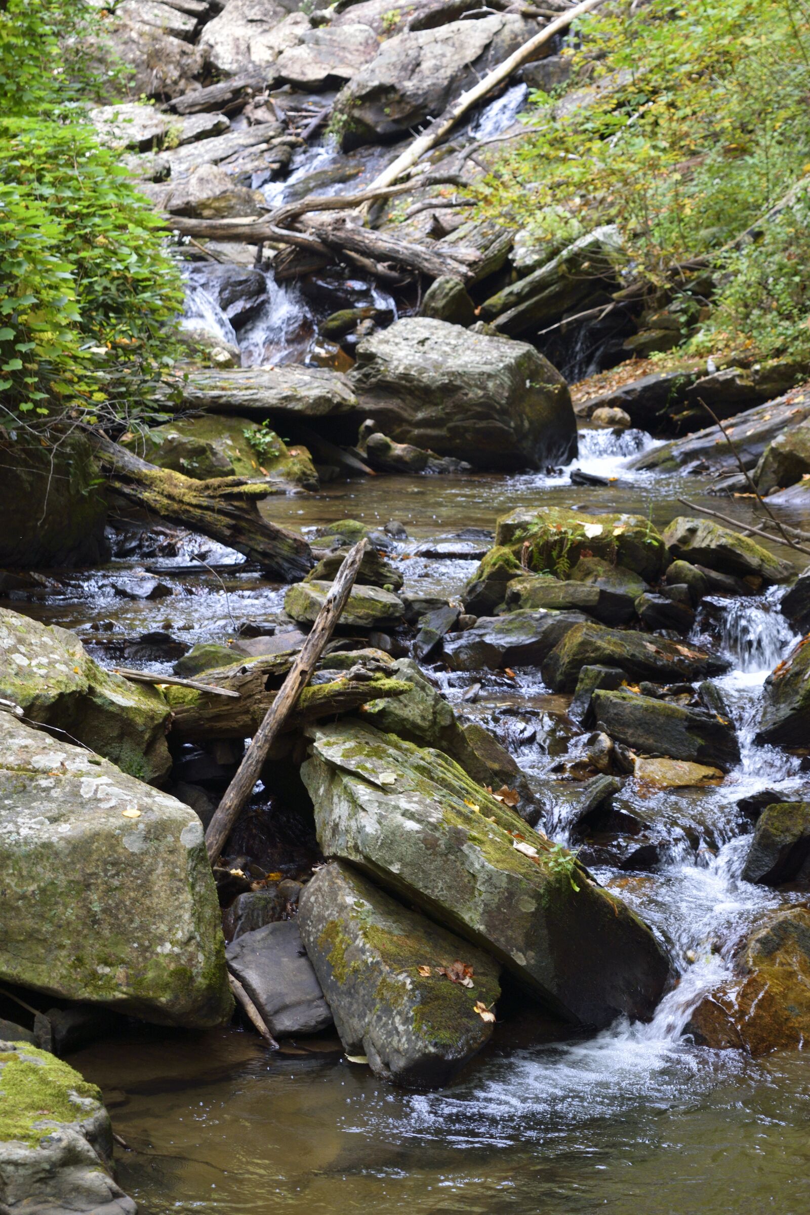 Nikon D3300 sample photo. Anna ruby falls, creek photography