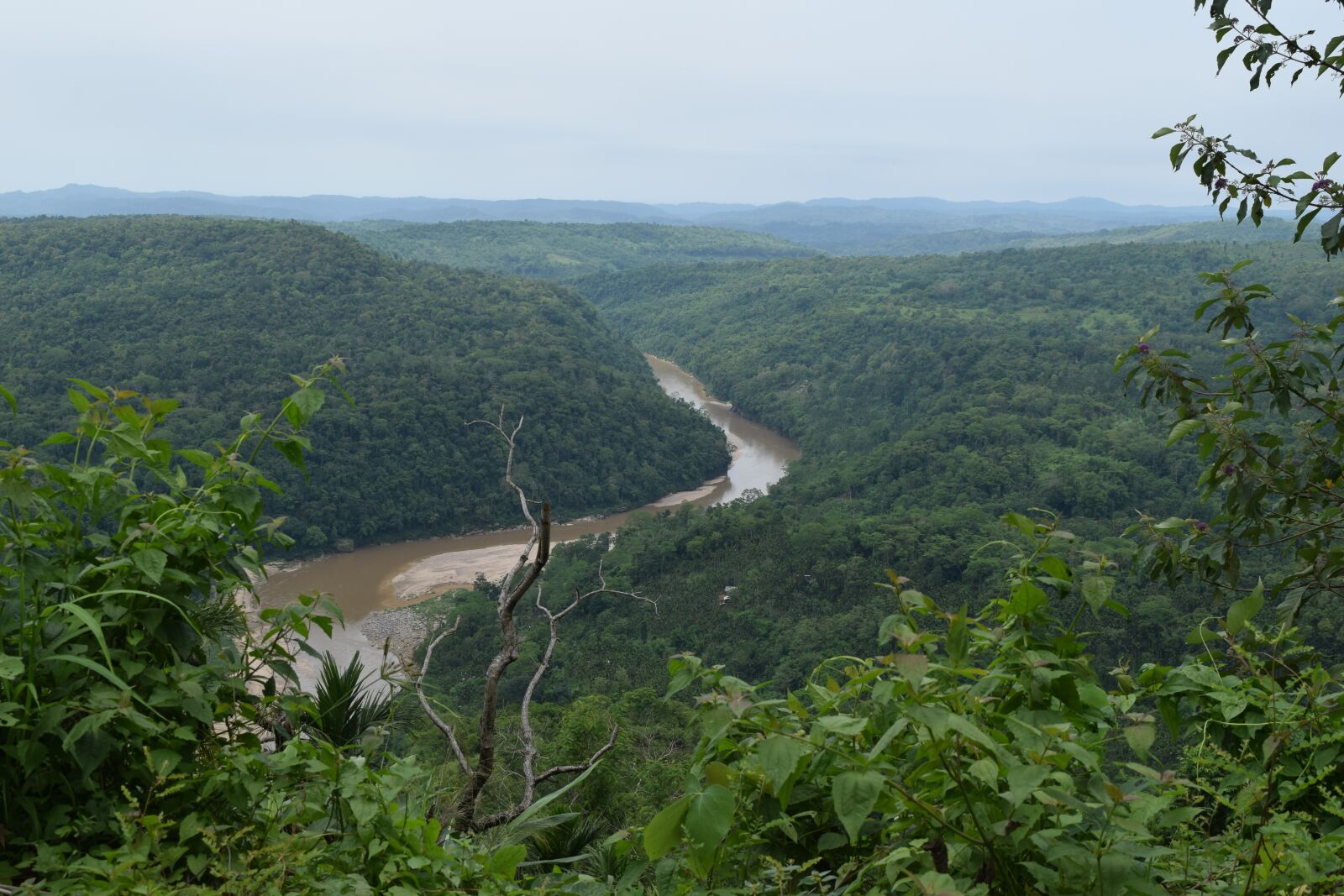 Nikon D3300 sample photo. Mist, lake, river photography
