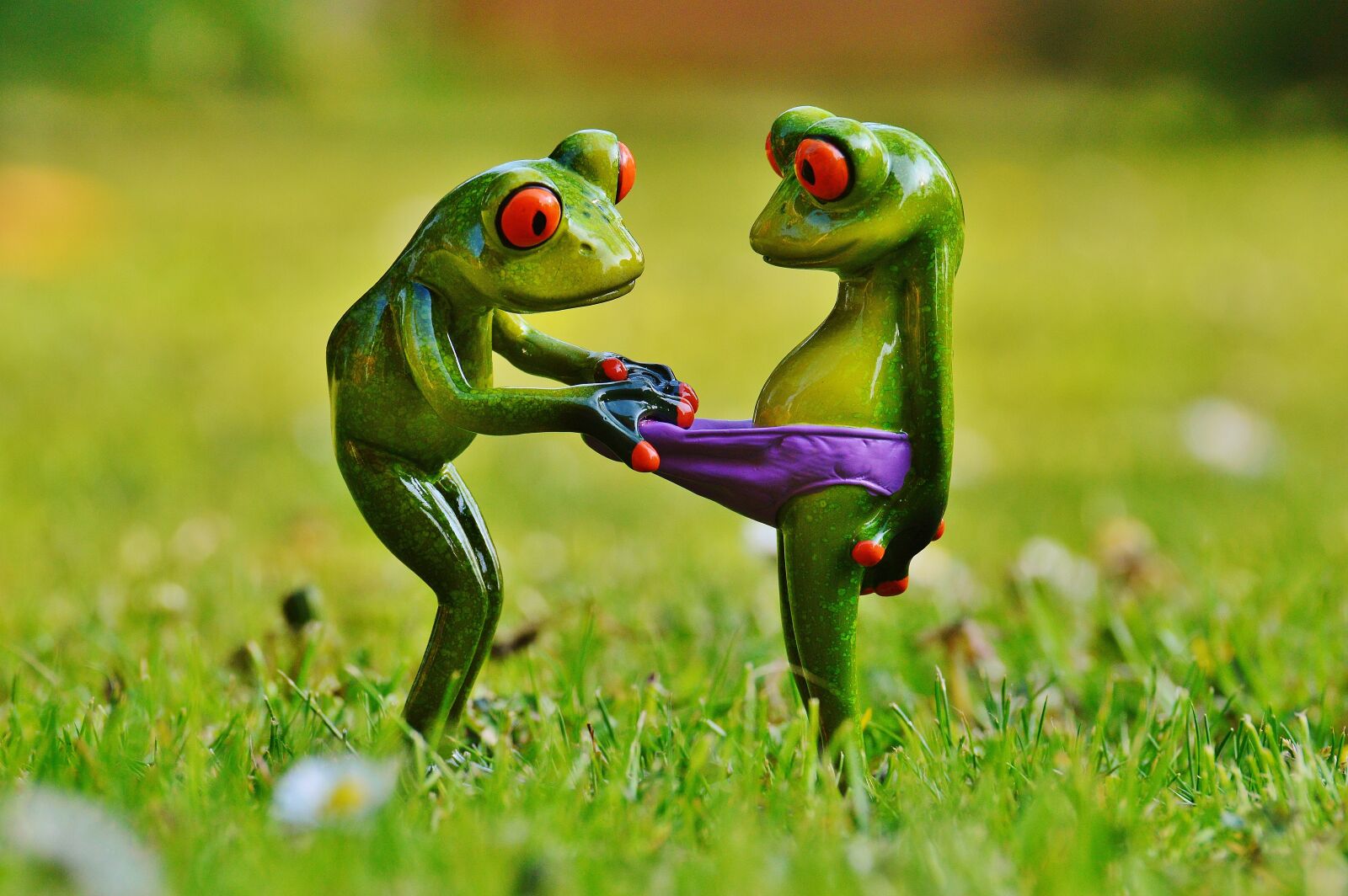 Nikon D3200 sample photo. Frogs, funny, curious photography