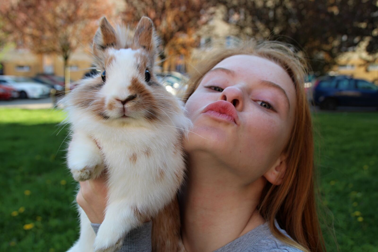 Canon EOS 1300D (EOS Rebel T6 / EOS Kiss X80) sample photo. The rabbit the lion's photography