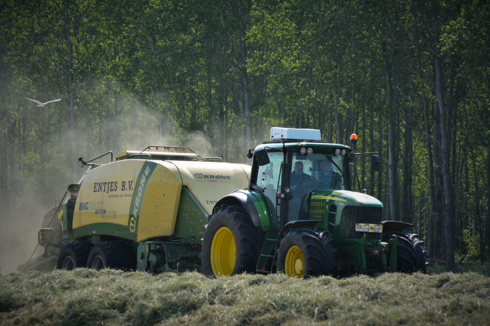 Nikon D5200 sample photo. Slochteren, wage operating, entjes photography