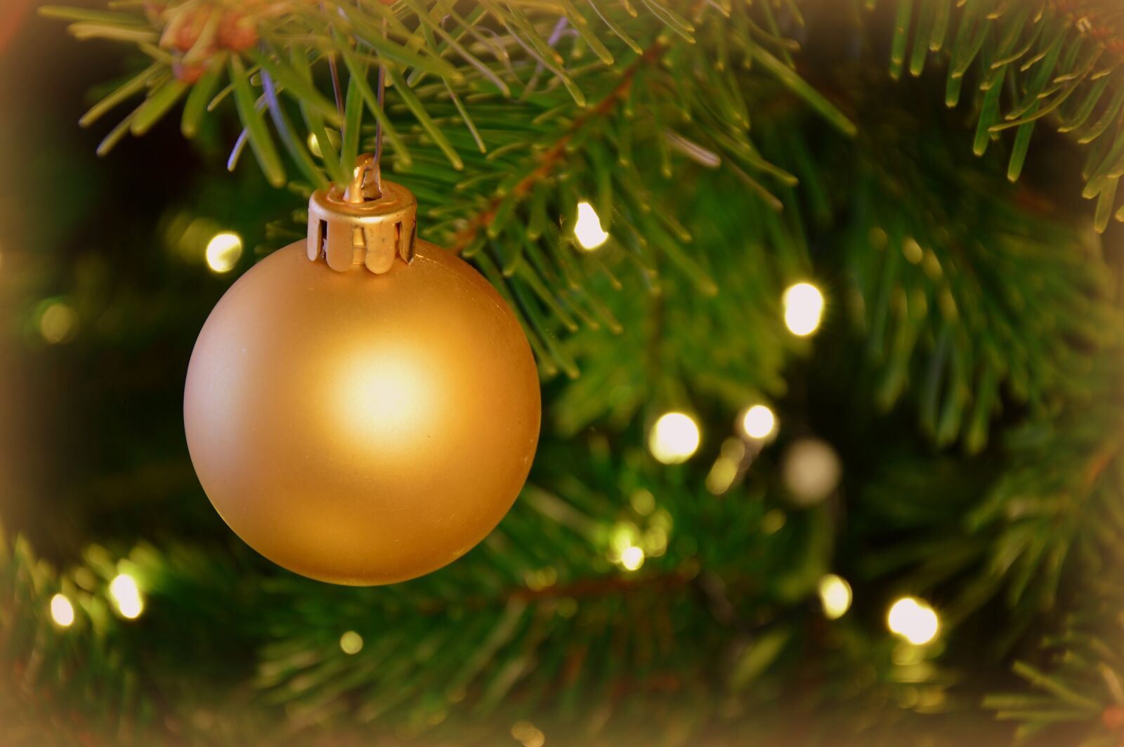 Nikon D3200 sample photo. Christmas images, christmas motif photography