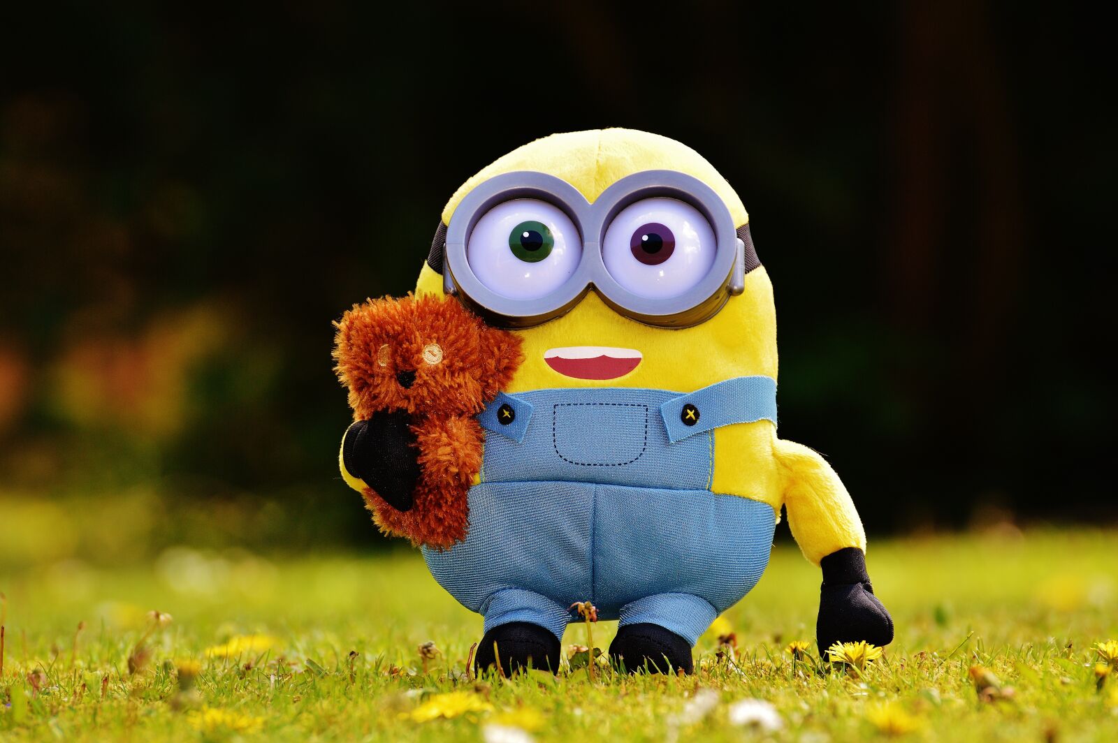Nikon D3200 sample photo. Minion, funny, figure photography