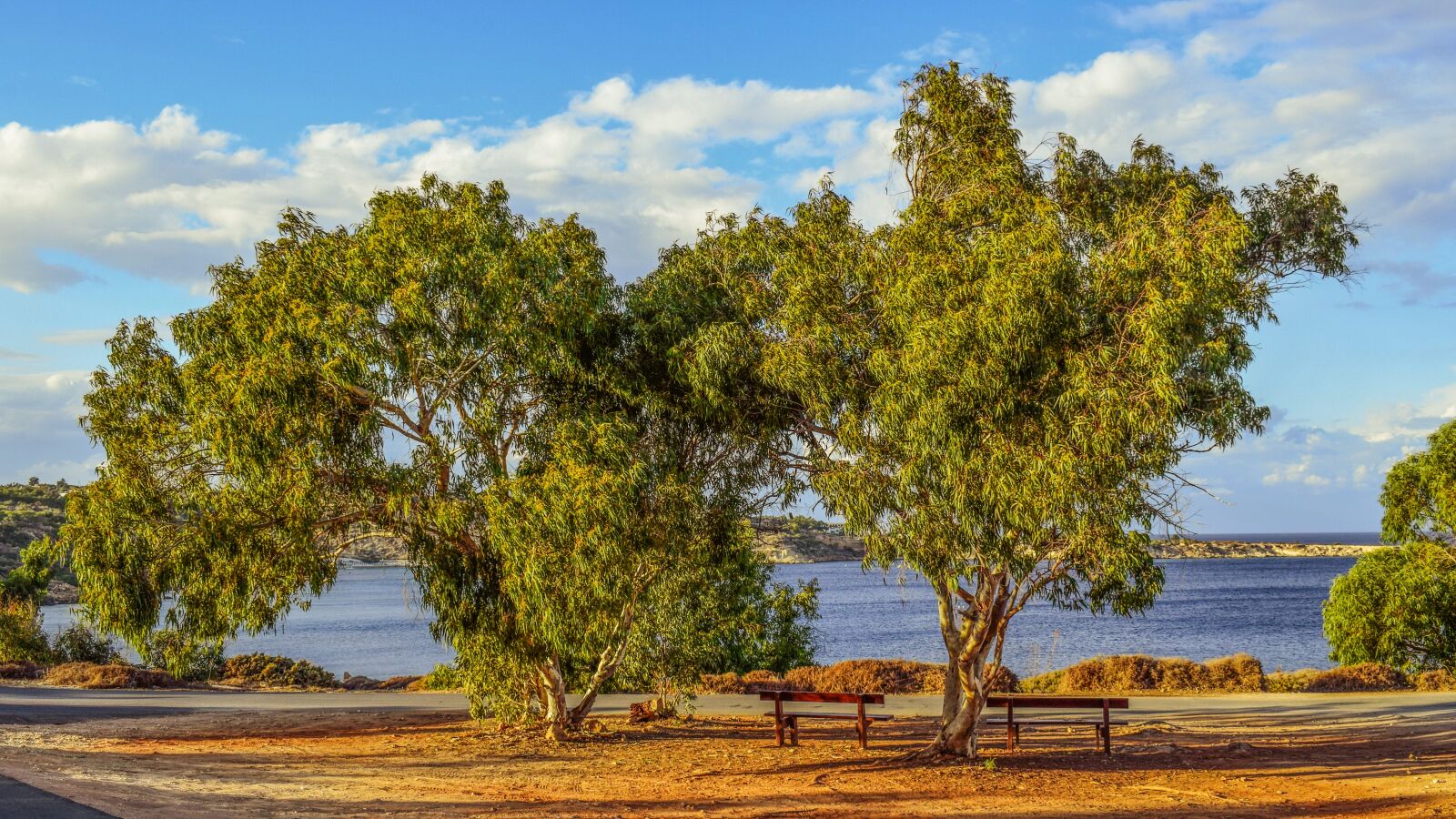 Nikon D3300 sample photo. Trees, benches, landscape photography