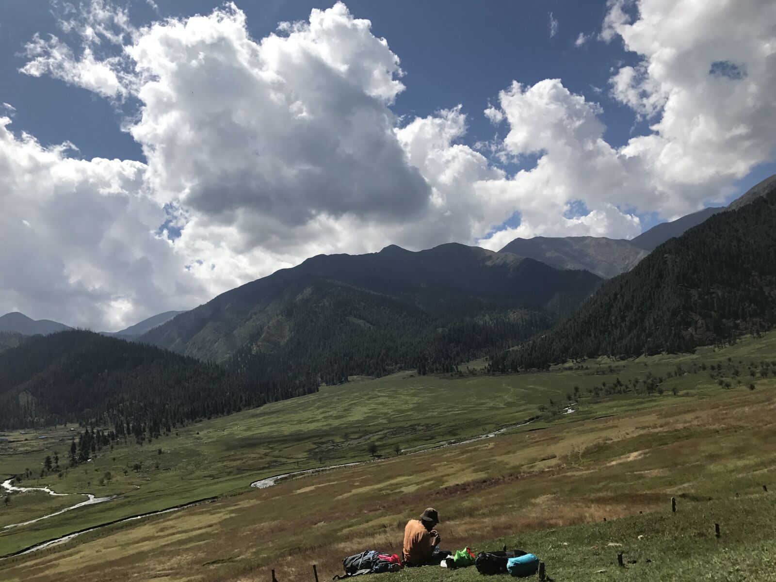 iPhone 7 back camera 3.99mm f/1.8 sample photo. Nature, jumla, rara photography