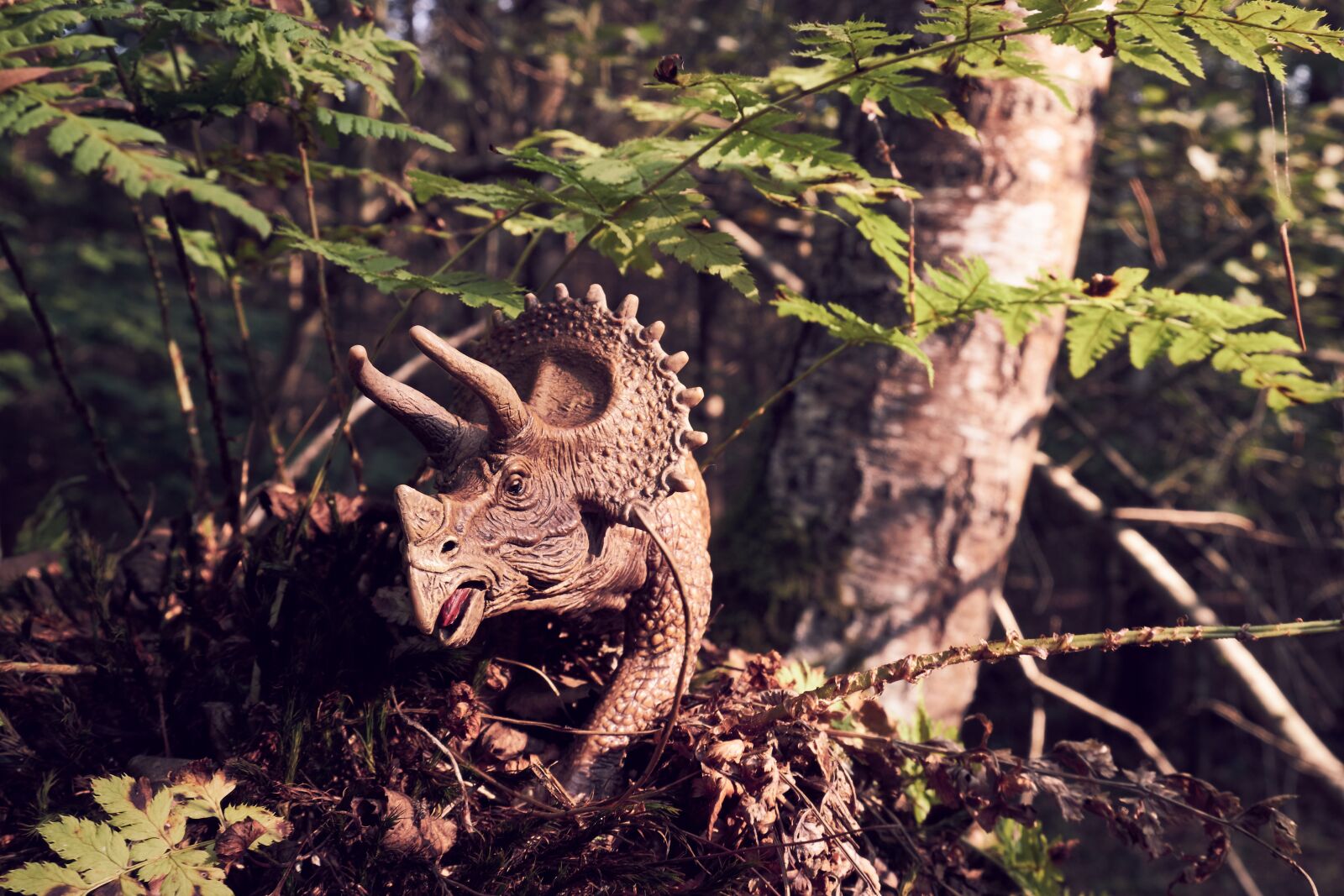 Fujifilm X-T20 sample photo. Dinosaur, triceratops, dino photography