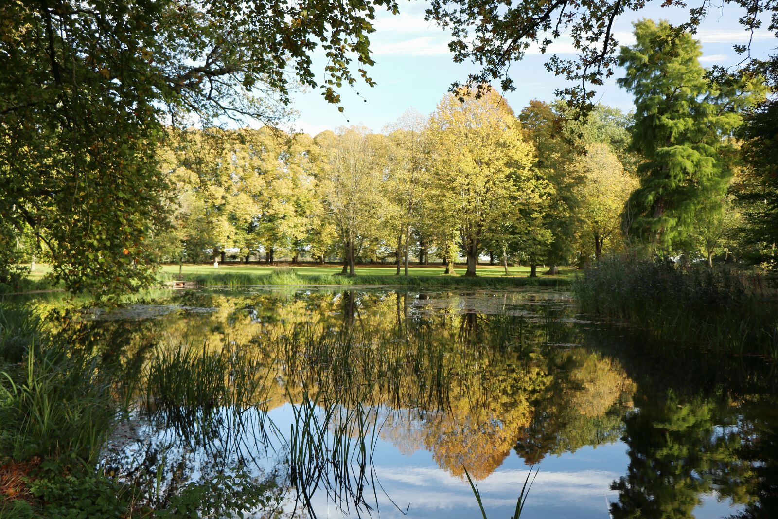 Canon EOS 77D (EOS 9000D / EOS 770D) sample photo. Autumn, lake, mirror photography