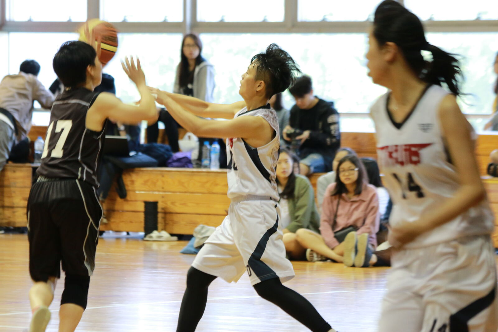 Canon EOS 70D sample photo